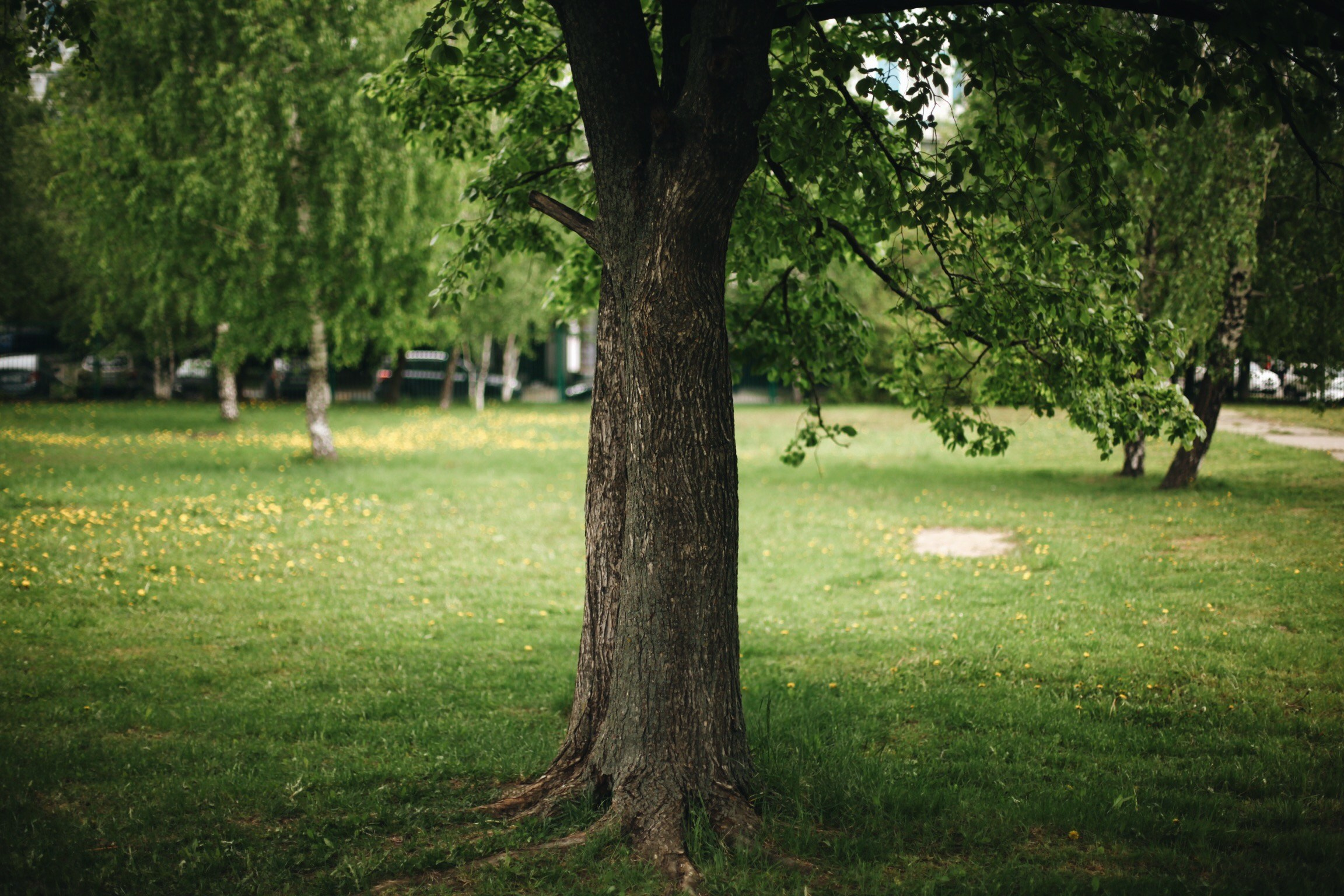 Школьные съемки. Ксения Плотникова