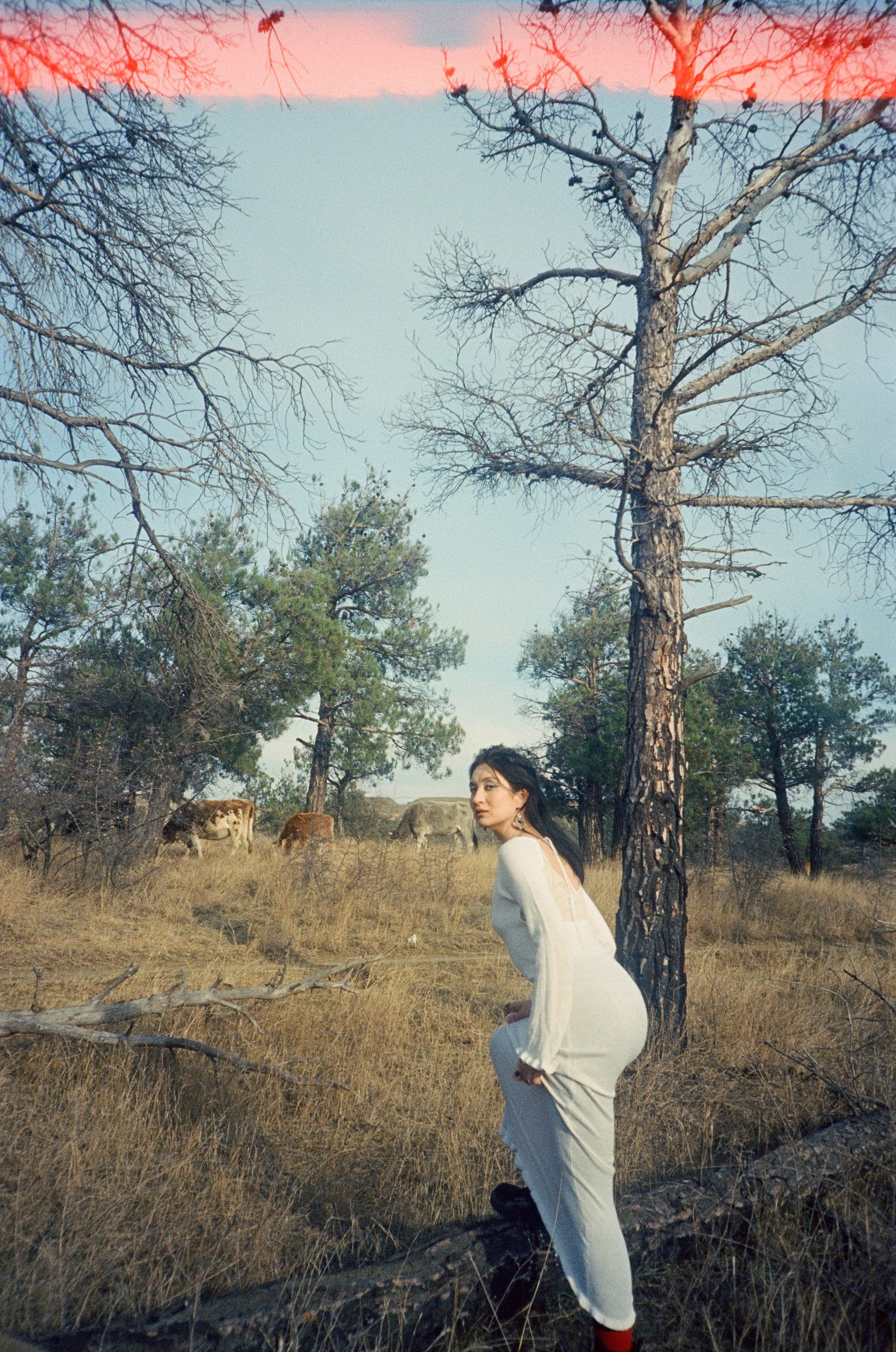 Аделина. Пленка. Фотограф Тбилиси Саша Мороз