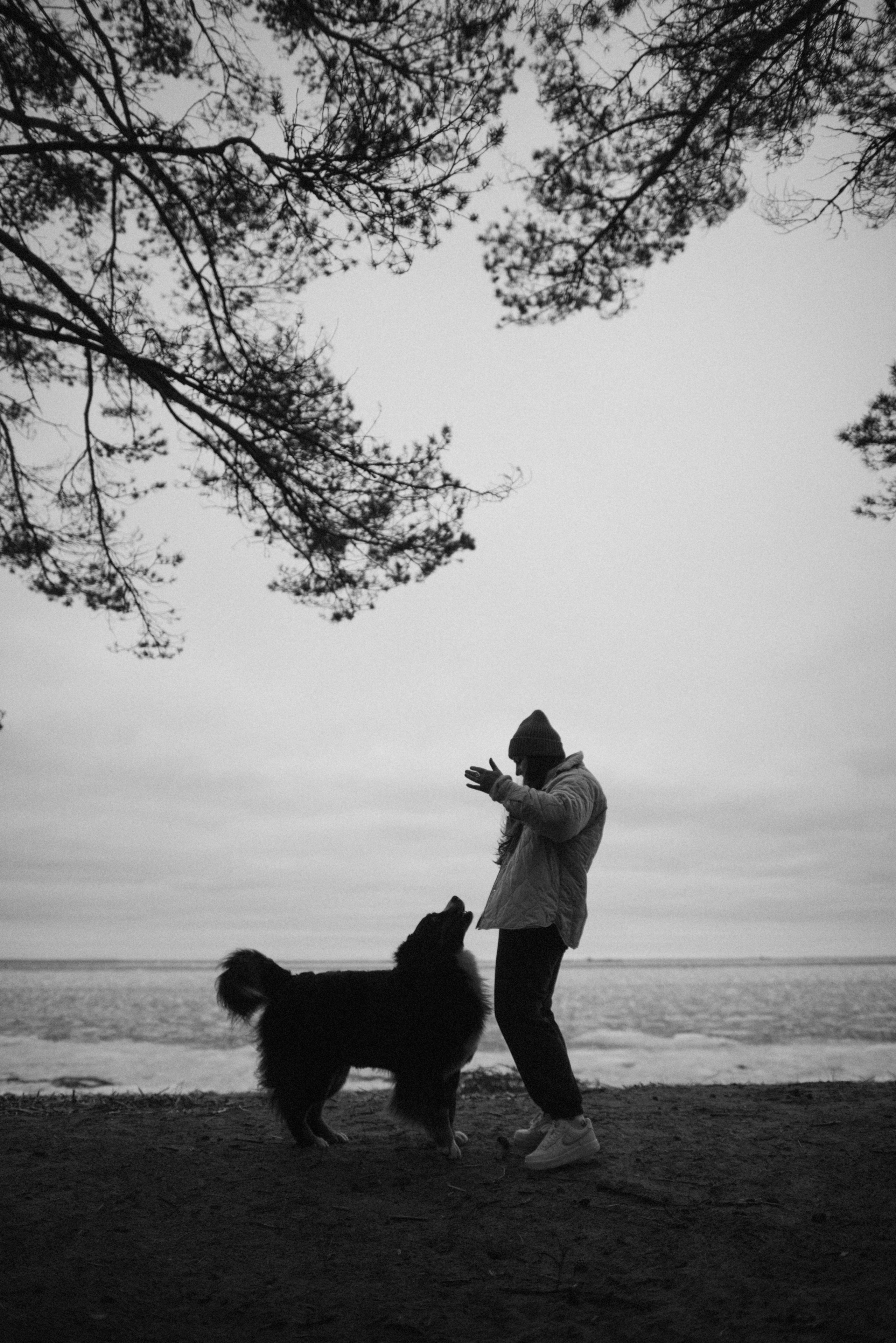 Прогулка: берн Пума, Фрэнк и Юля в Питере. Портфолио