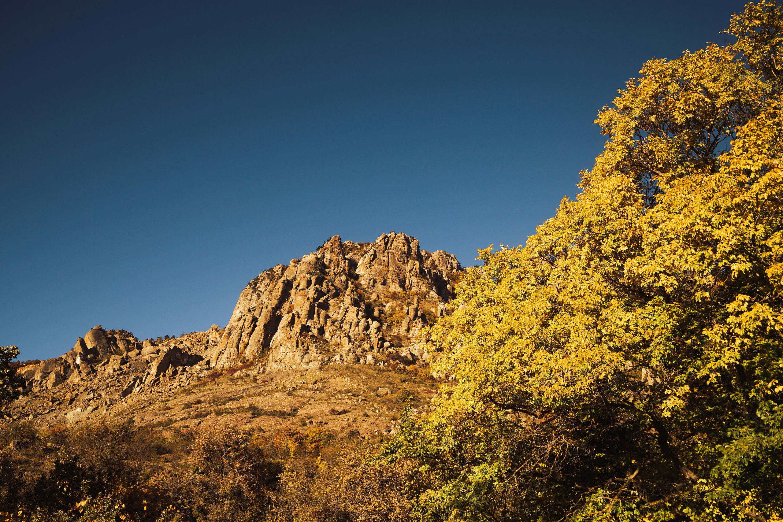 История одного путешествия. Семен Соколов