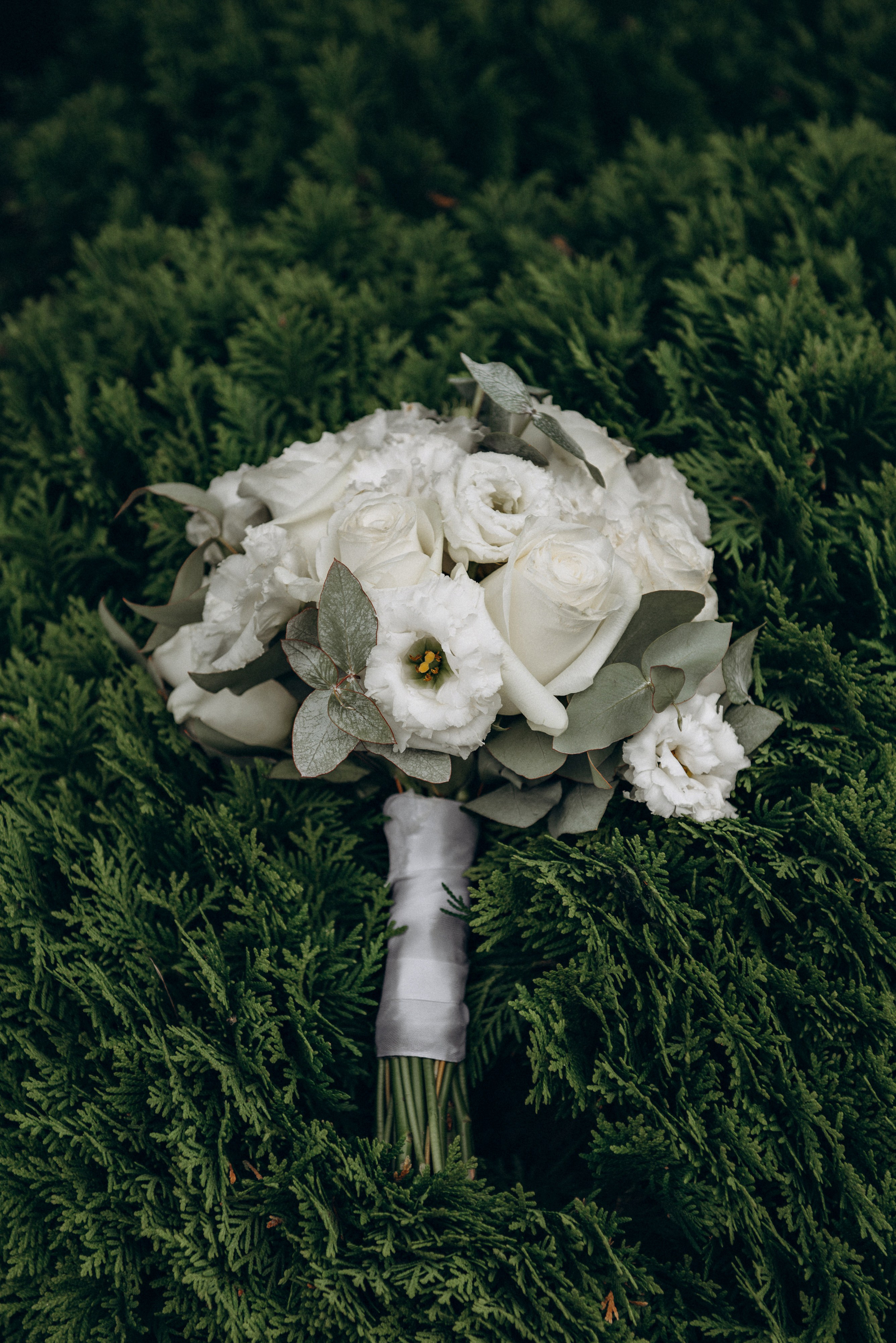 Данил и Света. Свадебный фотограф в Тамбове и области