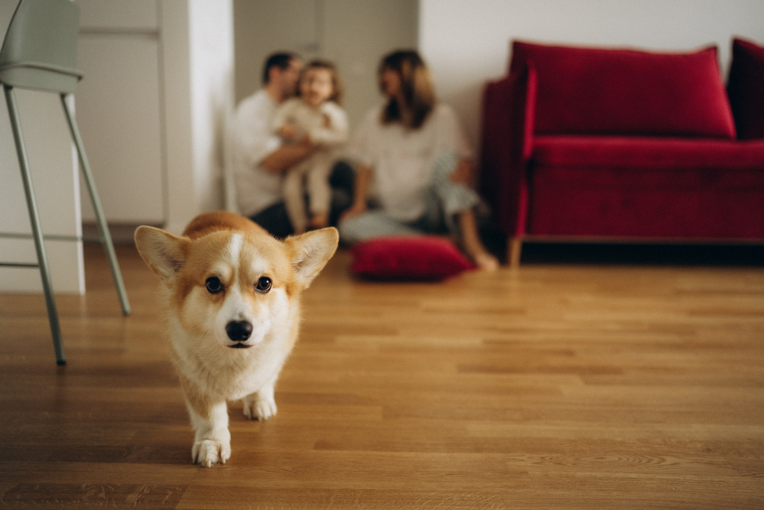 Дом там, где семья. Свадебный и семейный фотограф в Москве Ксения Шведова