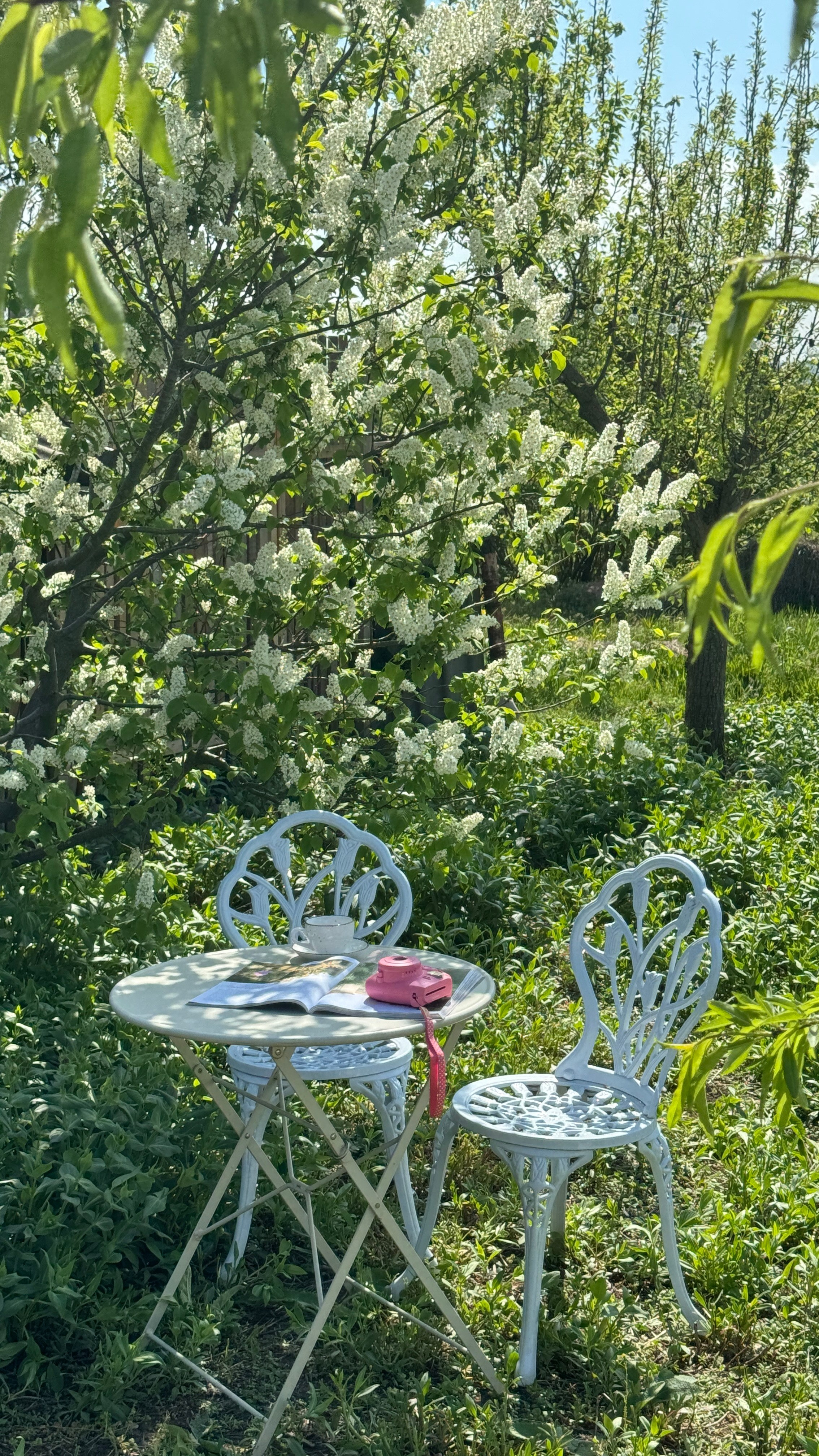Цветение Весна. Фотостудия Натальи Забродской