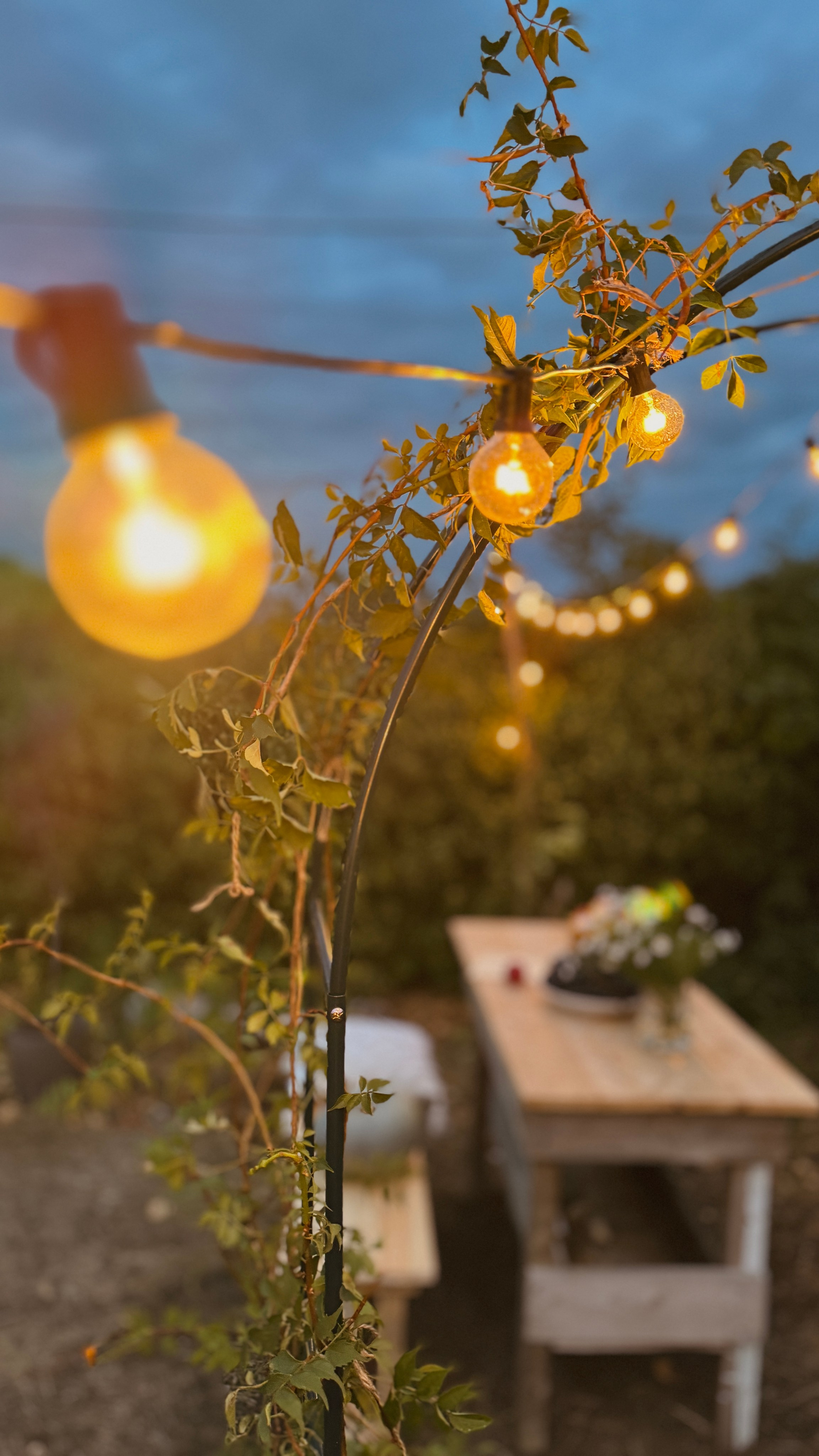 Девичники. Фотостудия Натальи Забродской