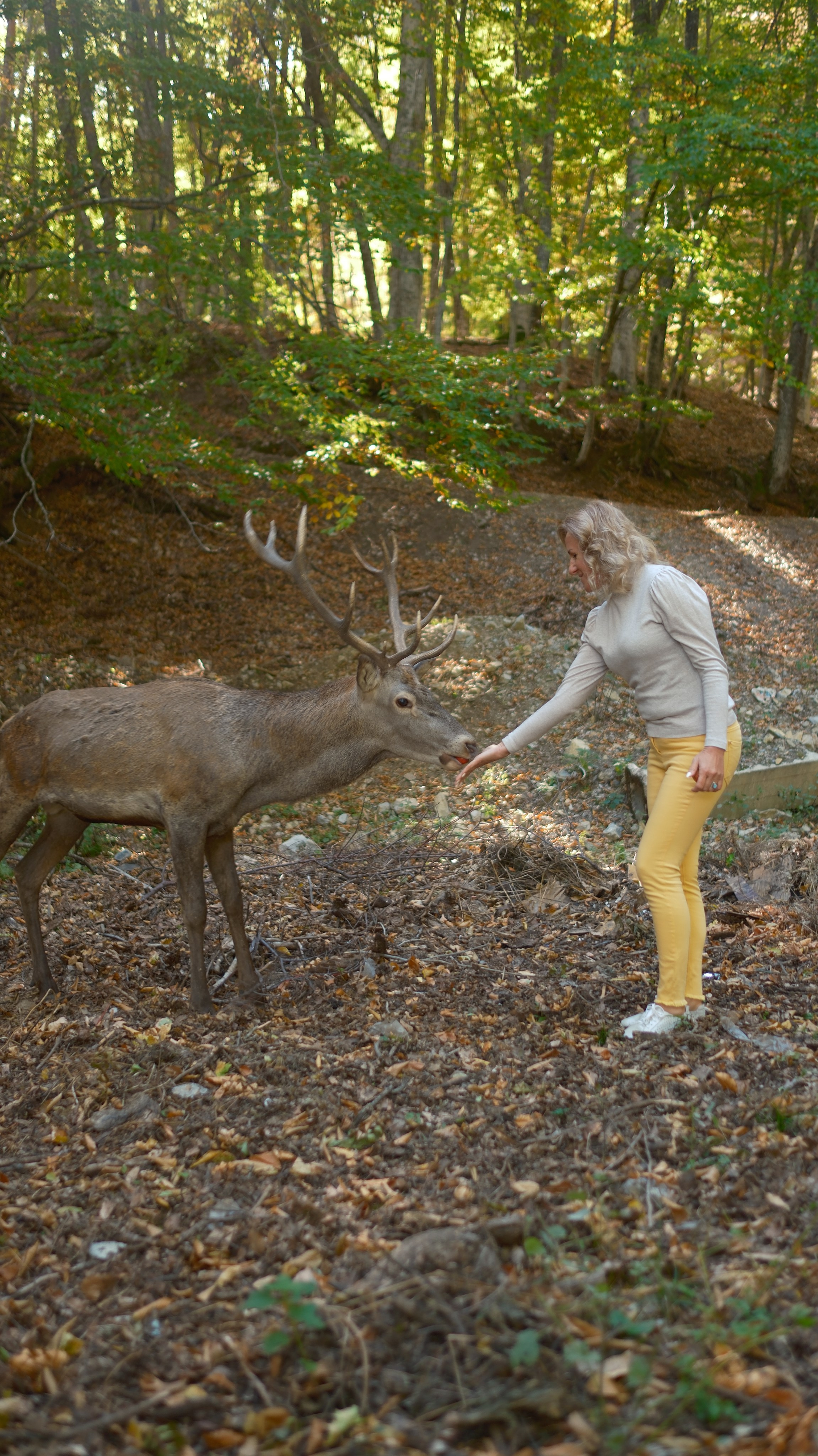 Хочу в Национальный Парк «Крымский». Гид и фотограф в Крыму Сергей Соколов