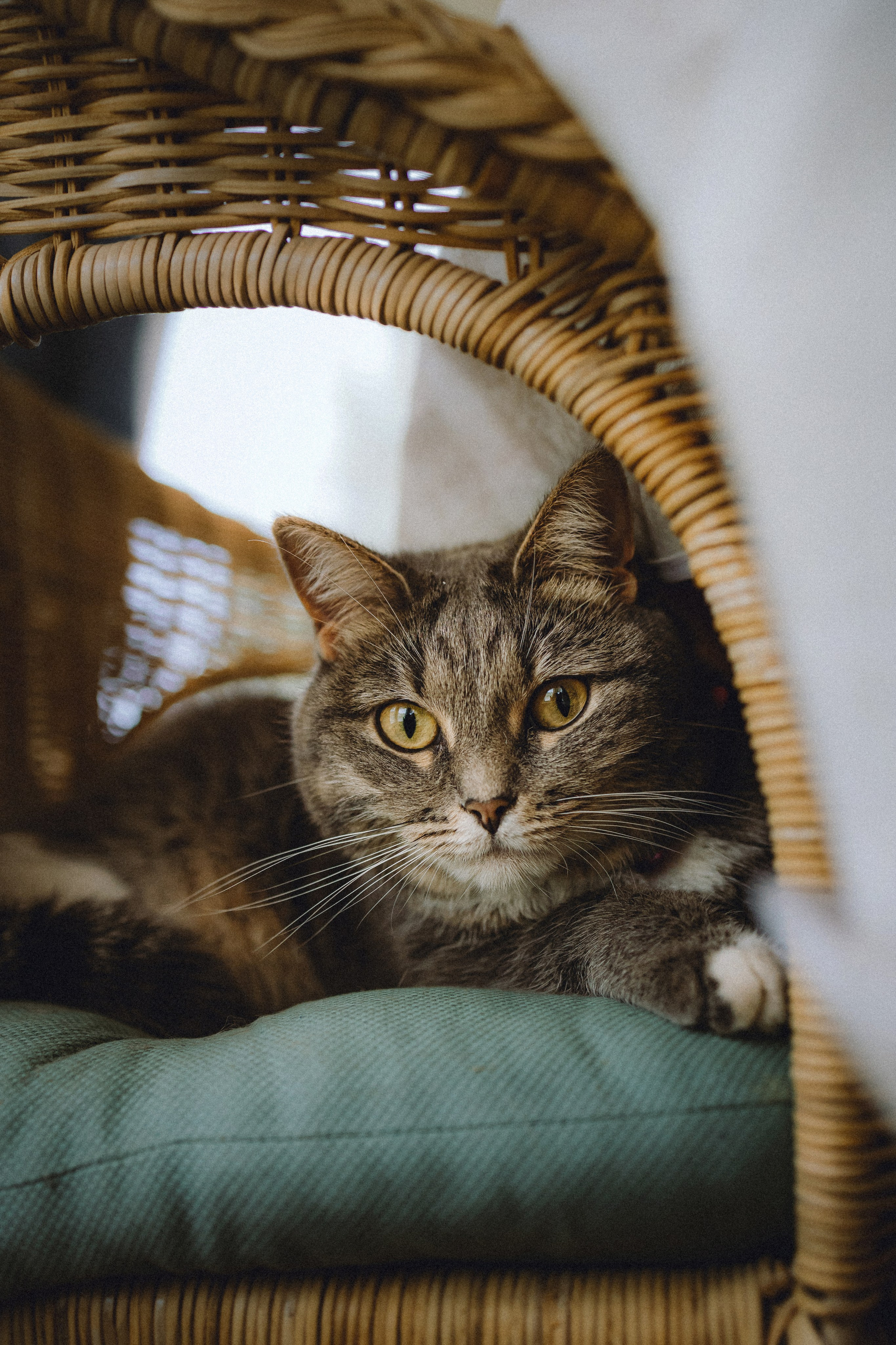 Леброн, Муся и их семья