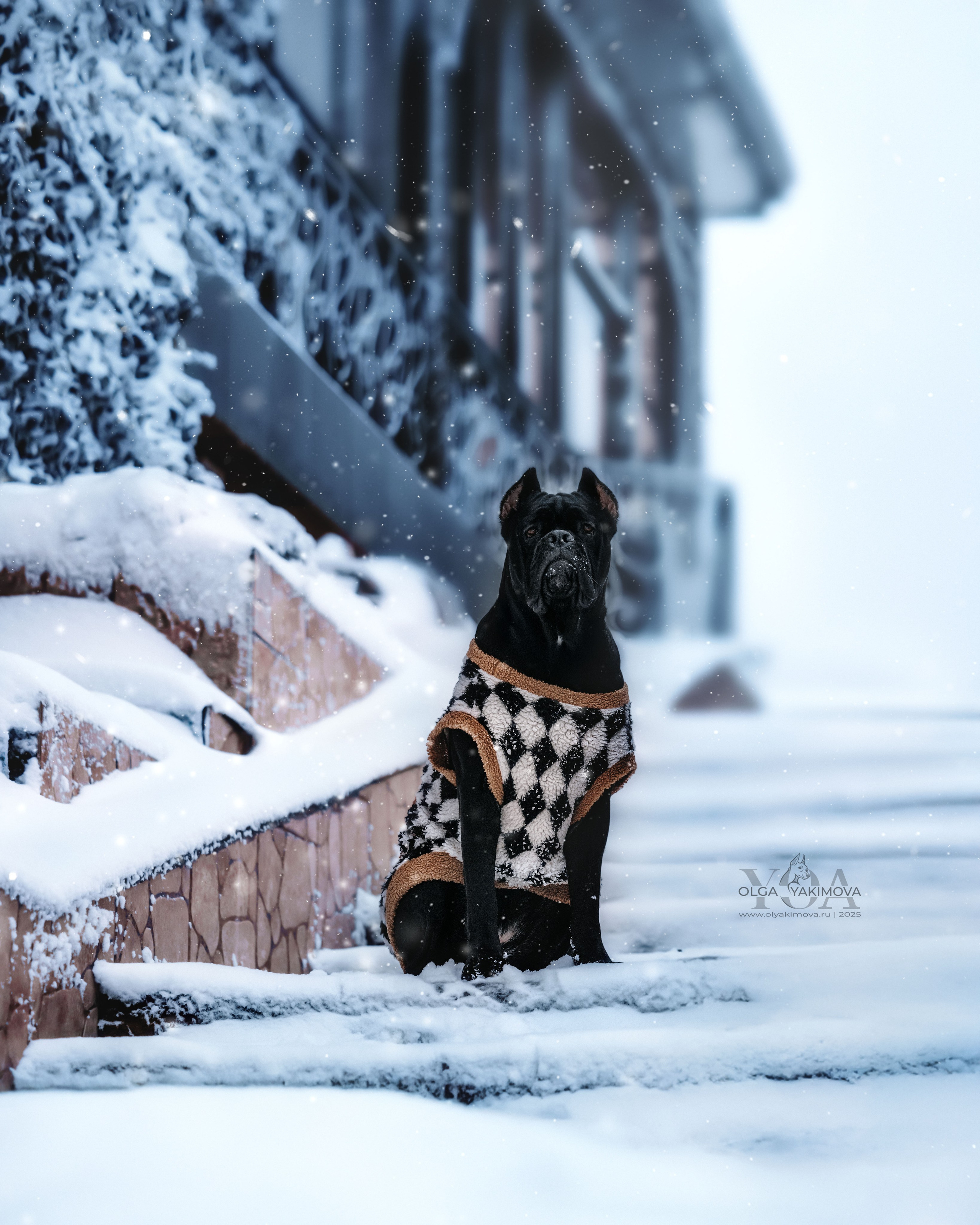 МАРИНА И САРА. Фотограф