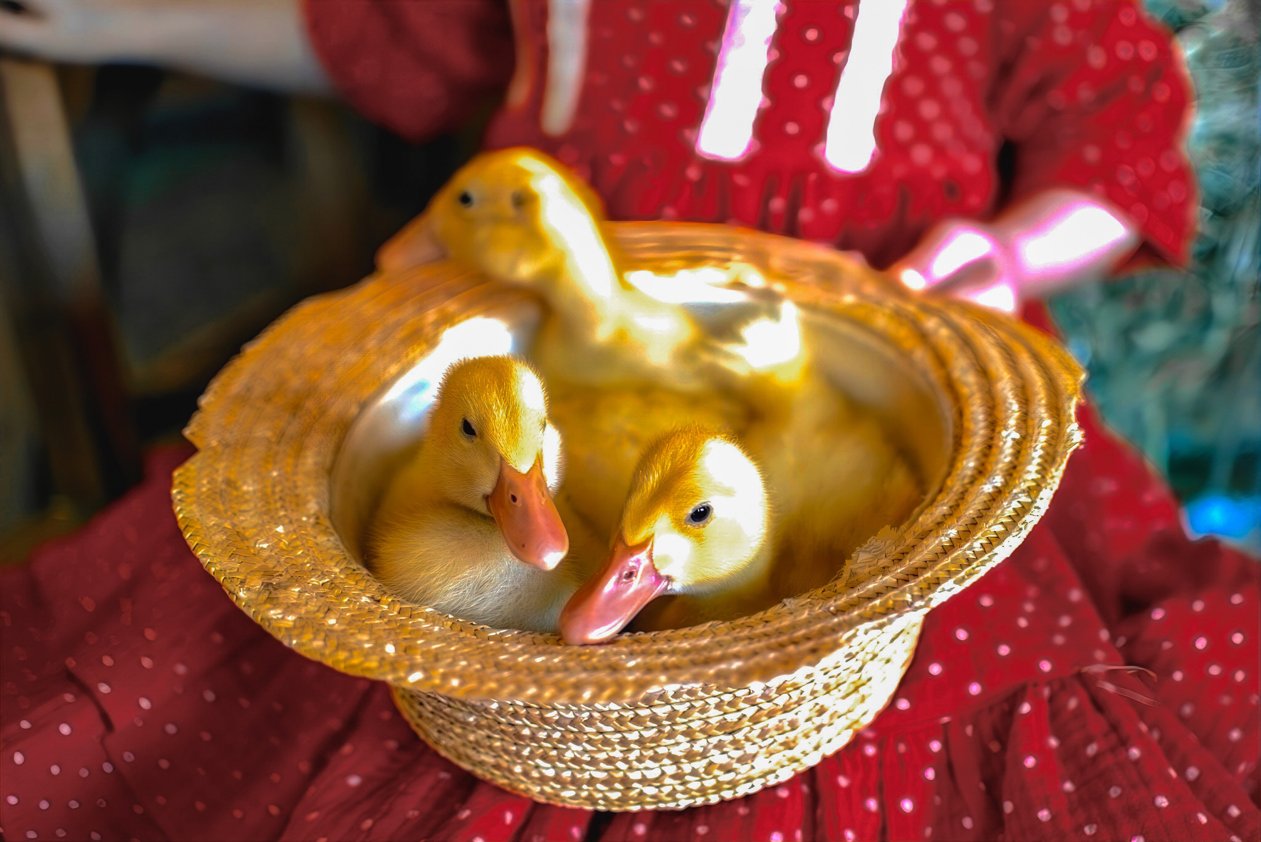 Анечка. Семейный и детский фотограф Москва