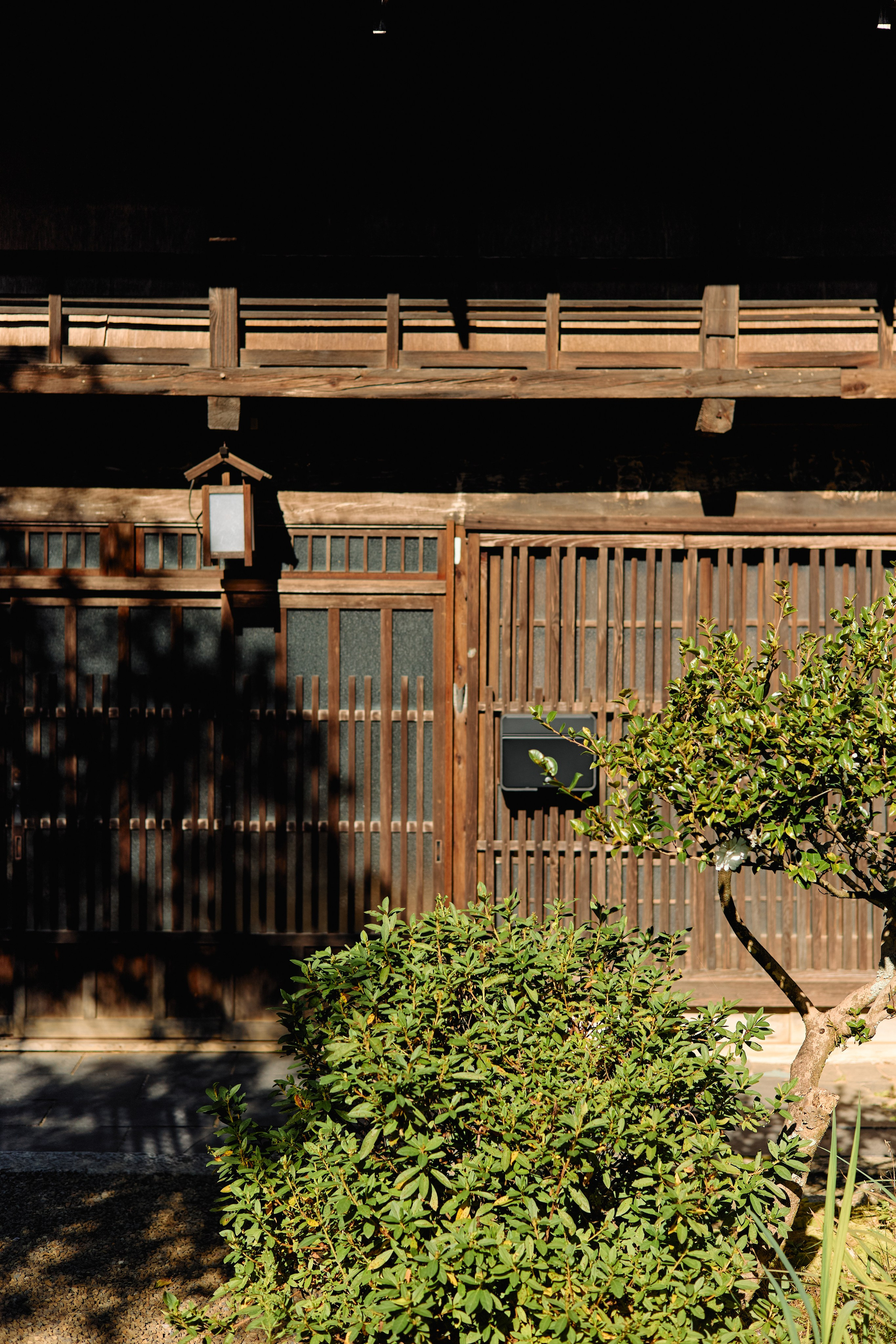 Япония. Профессиональный Фотограф во Владимире, в Москве и в Суздале — Полина Романычева