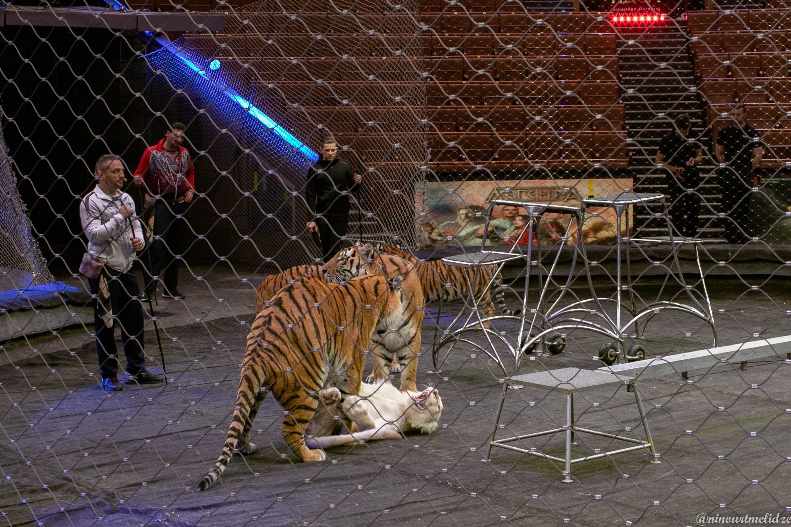 В закулисье у братьев Запашных. Art photographer Nino