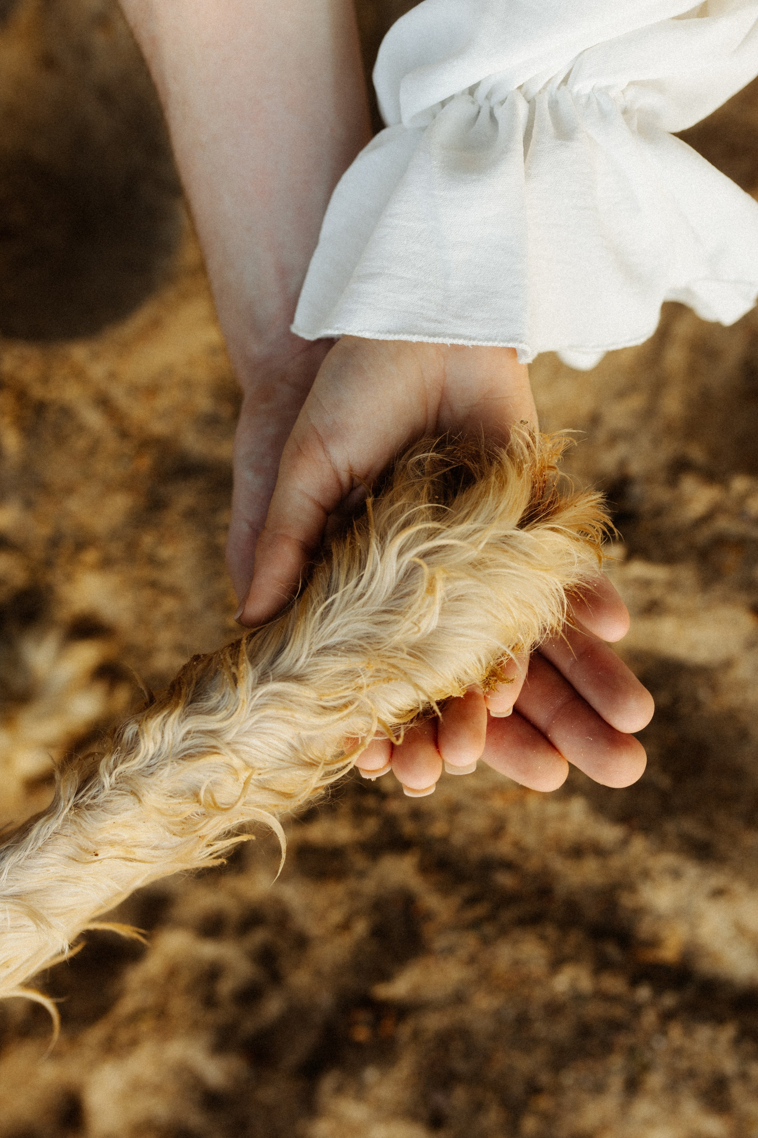 Аня, Влад и Джек. Фотограф в Санкт-Петербурге