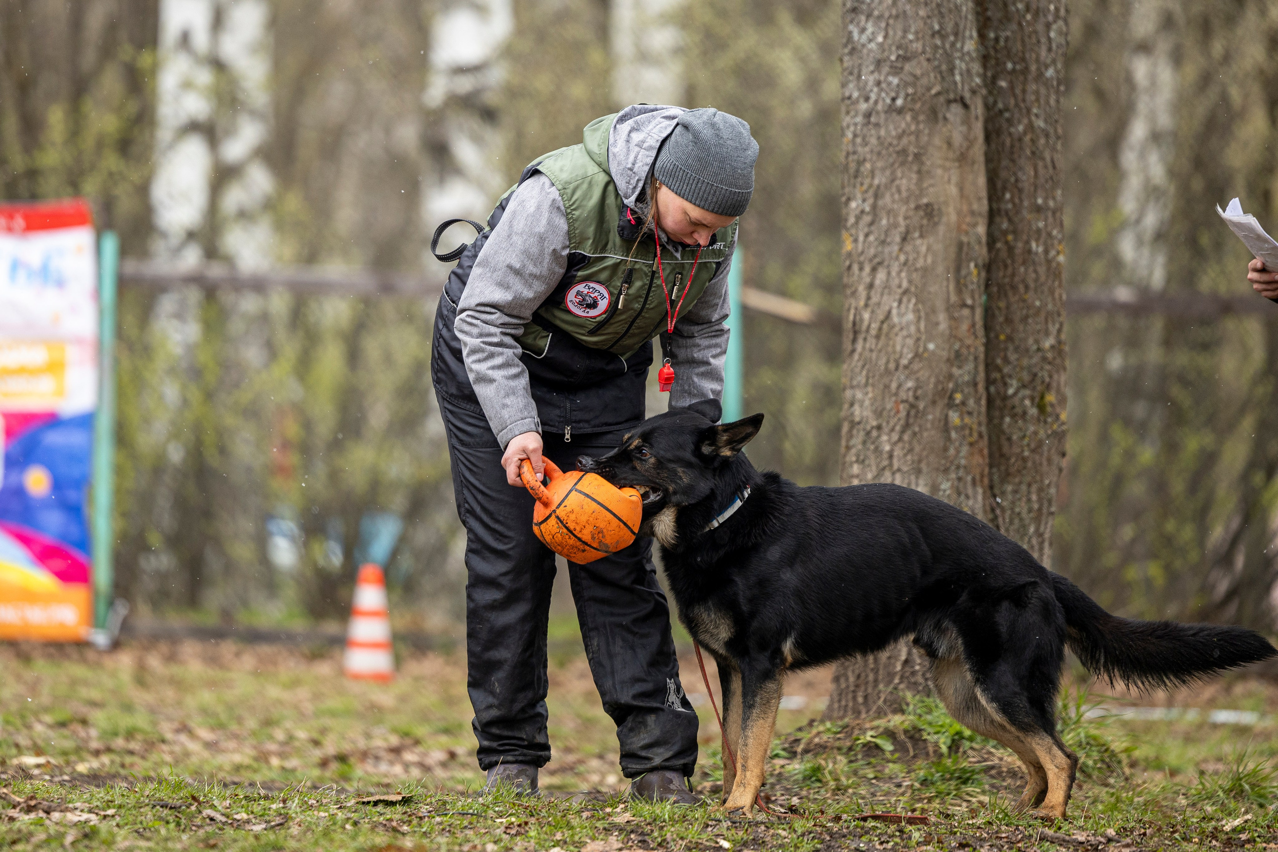 Квалификационные состязания по мондьорингу г. Вологда 11.05.24. Фотограф-анималист Анна Маринич