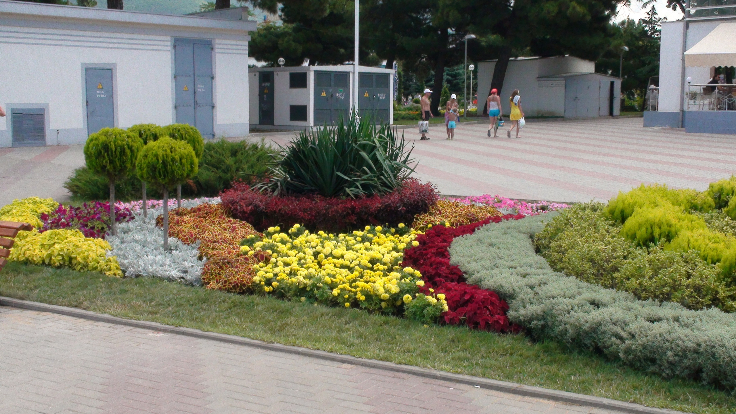 Отпуск 27.05-16.08. Семейный, Свадебный фотограф СПБ Питер— Романова Екатерина