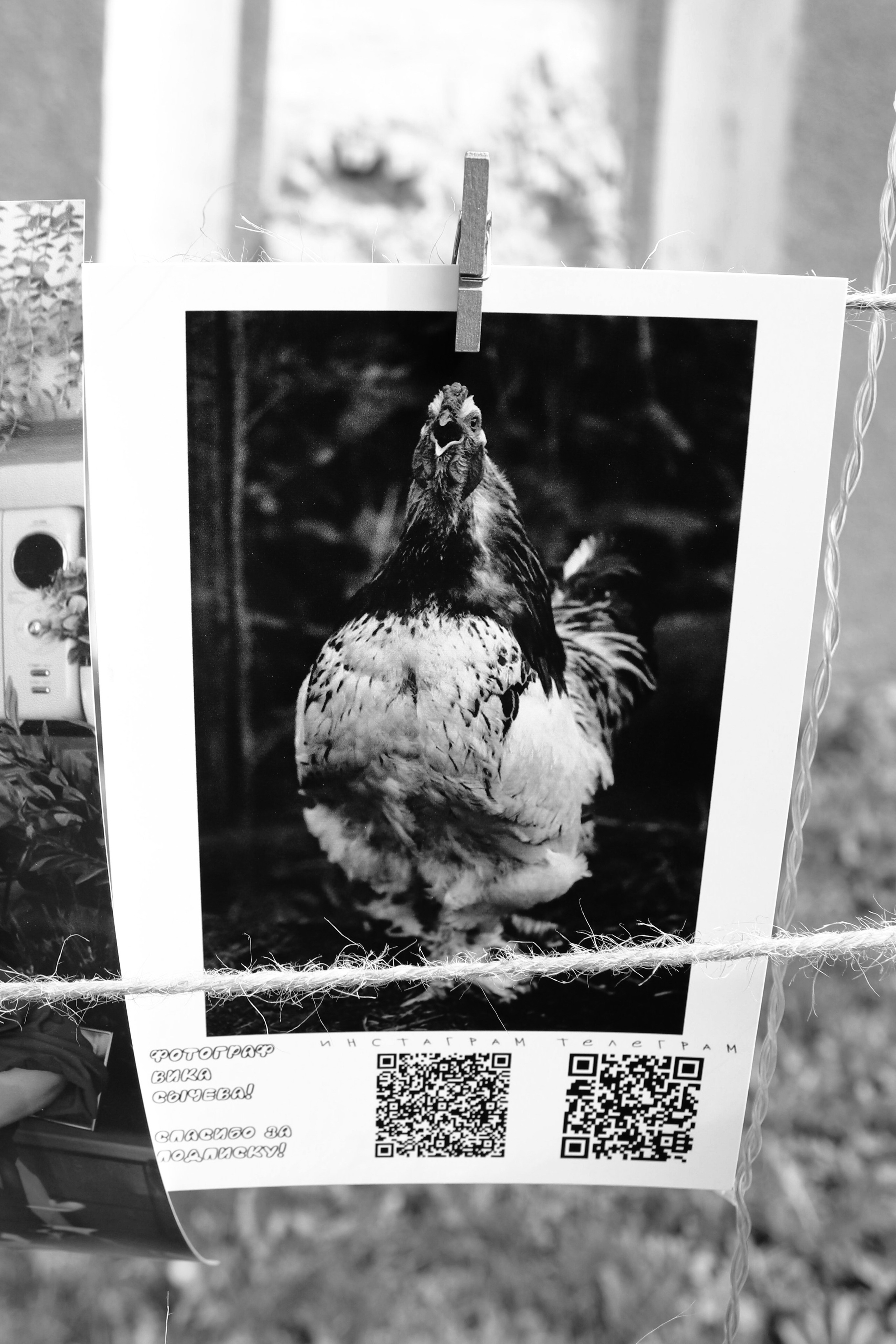 Репортажная съемка. Фотограф в г. Барнаул Нина Чепрасова