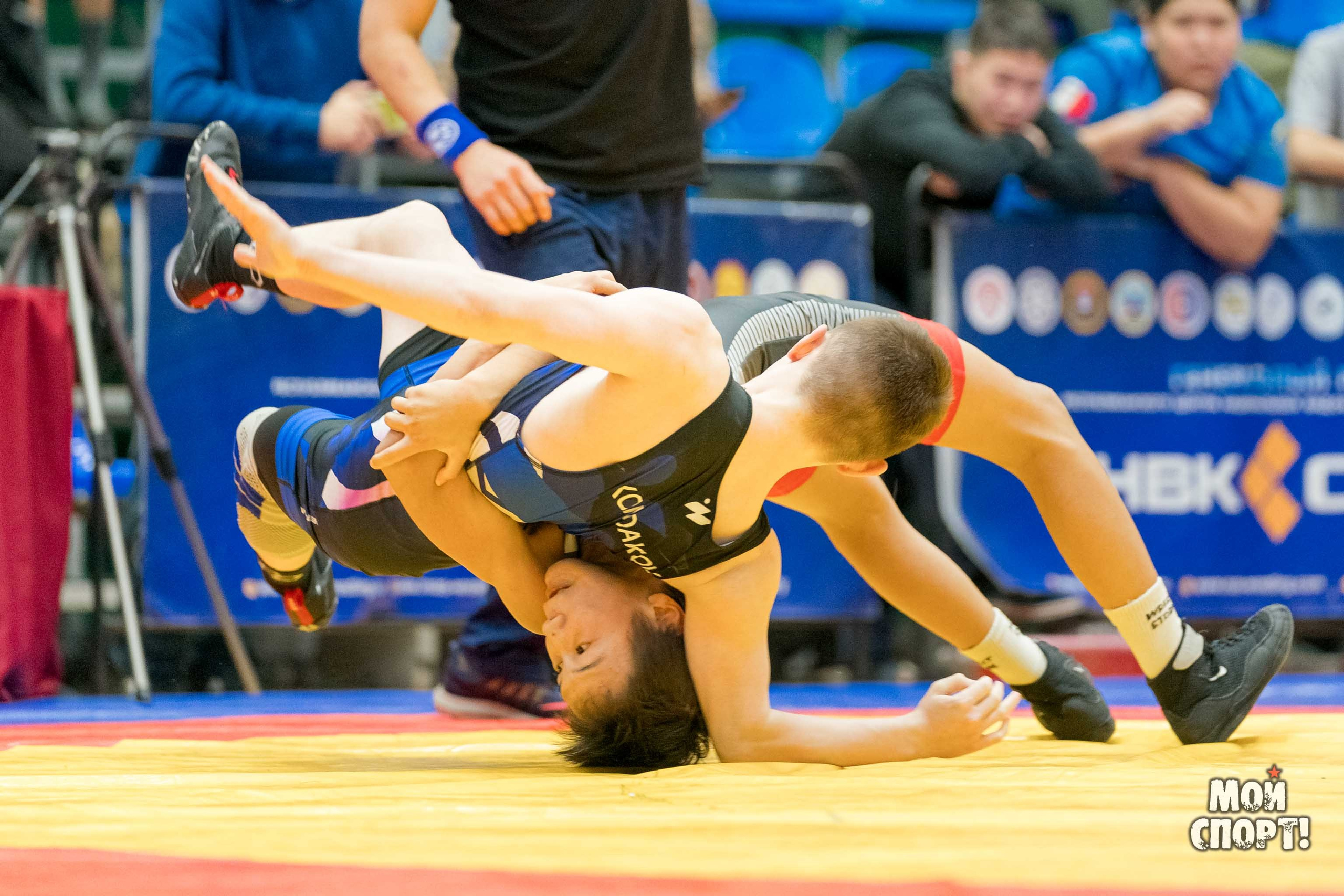 Первенство РС (Я) по греко-римской борьбе пам. Д. Г. Максимова. Студия «Мой Спорт!» — все о спорте в Якутии