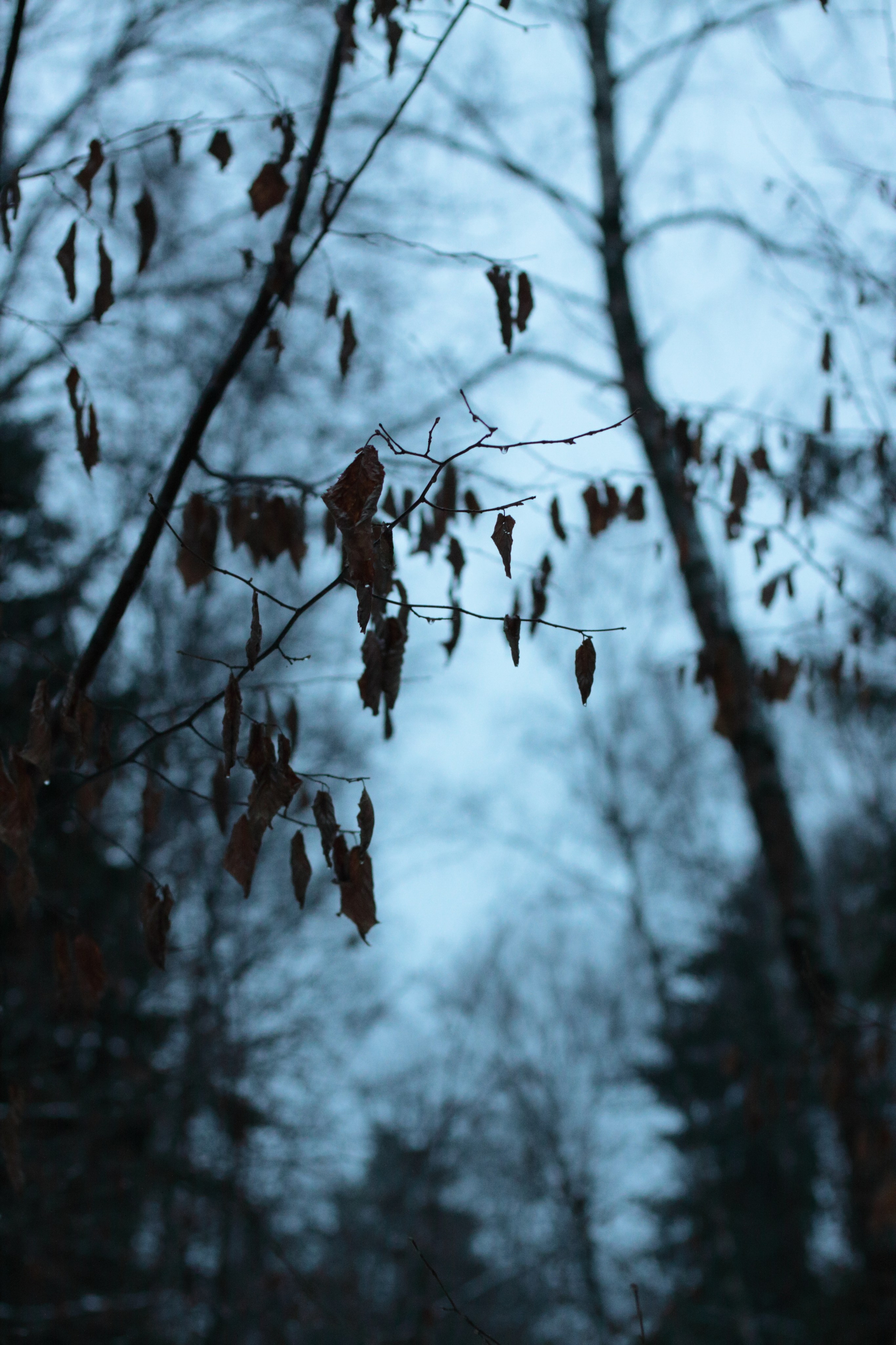 Старое природное, отбирала Katamount (Катерина Горохова). Главная