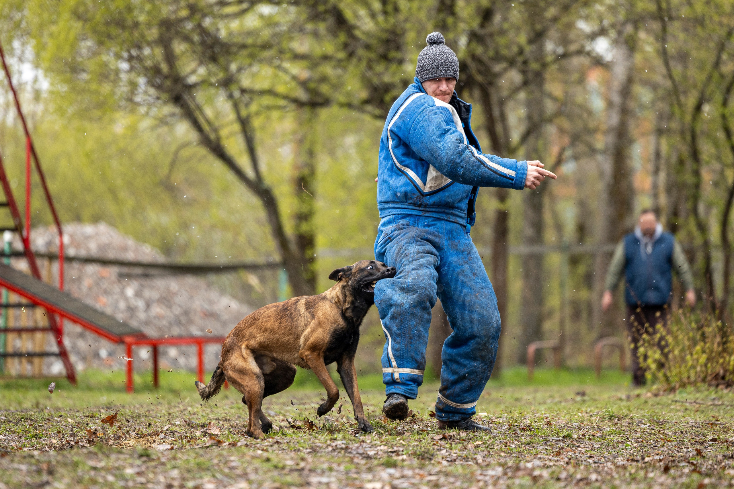 Квалификационные состязания по мондьорингу г. Вологда 11.05.24. Фотограф-анималист Анна Маринич