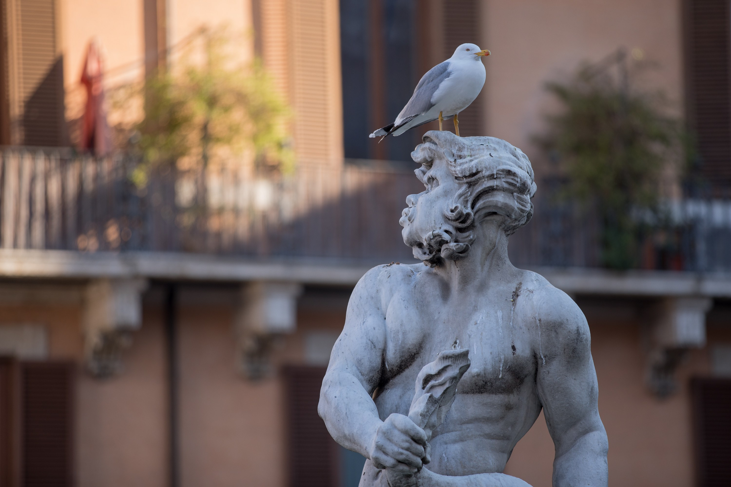 Репортаж. Фотограф Артем Павлов