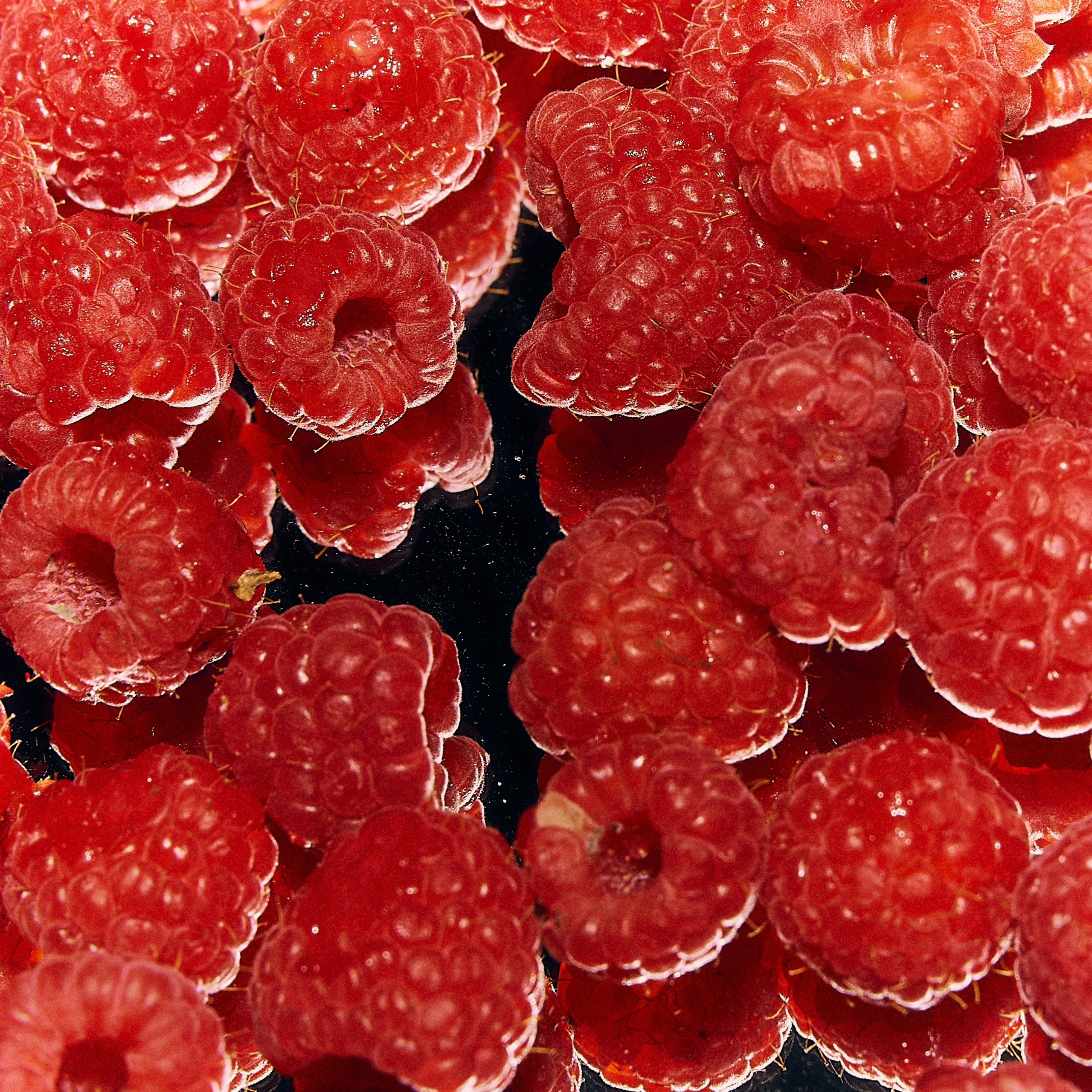 Анастасия и Влад. Свадебный и семейный фотограф в Иваново и Москве Мильков Вадим