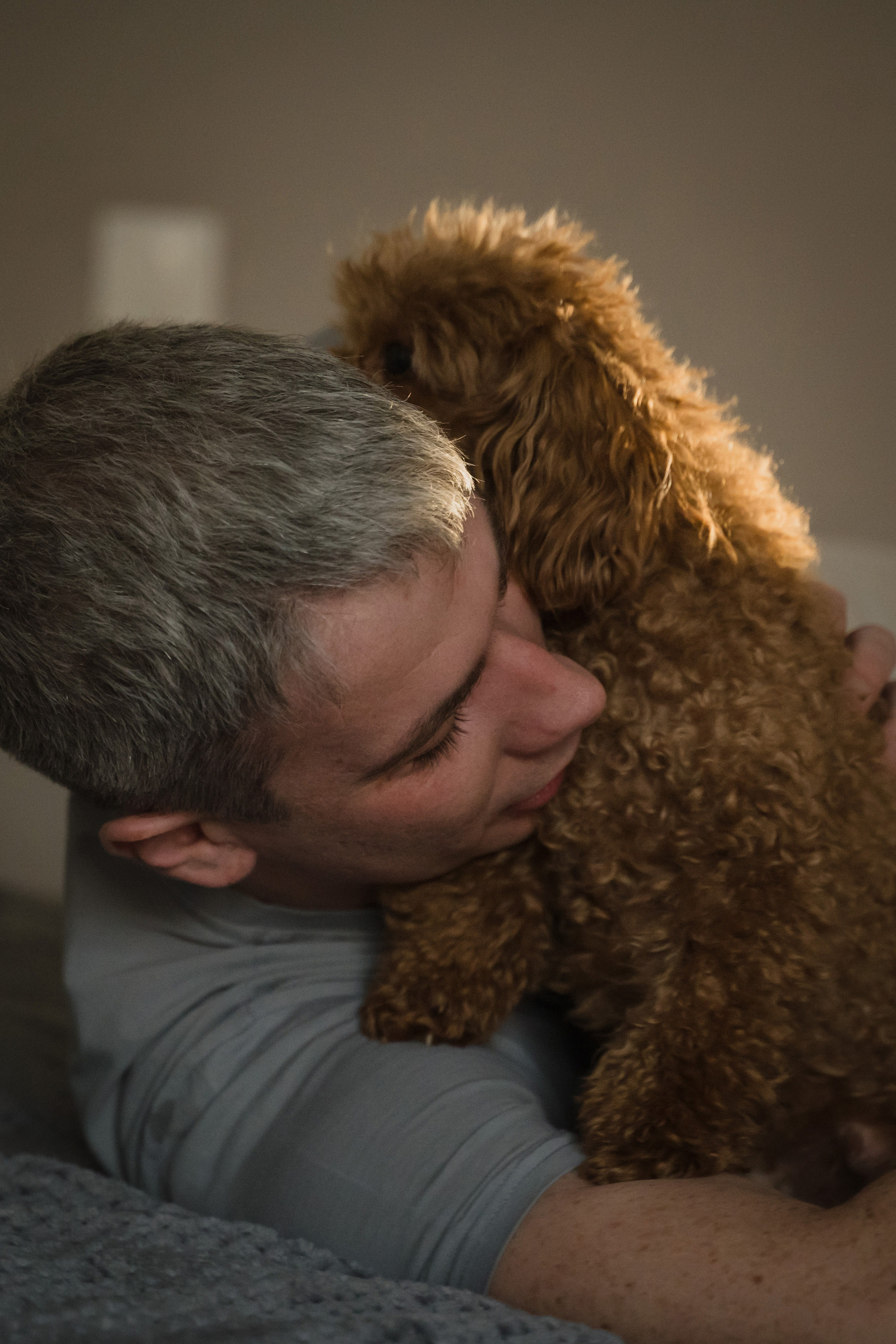 Предновогодний вечер. Главная