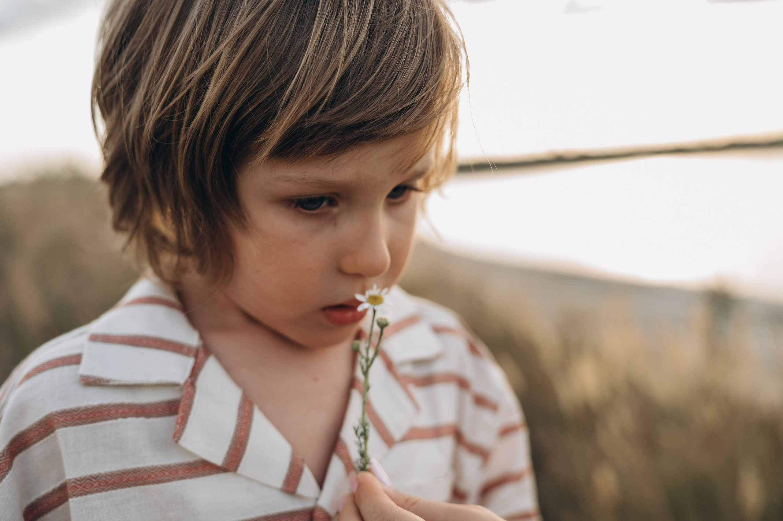 Летняя фотосессия. Семейный фотограф Ростов-на-Дону Татьяна Соколова