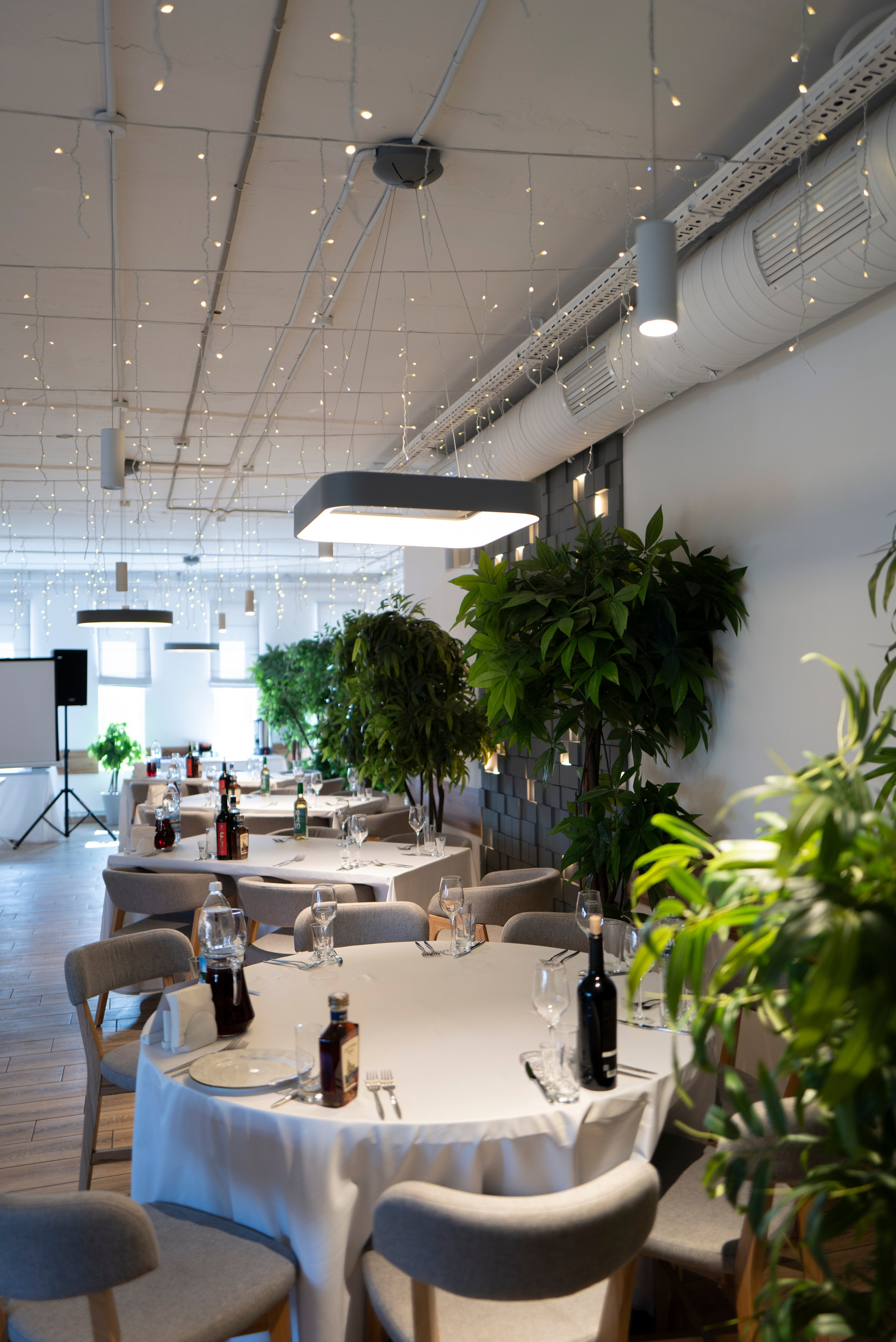 Рестораны. Maxon Magnusson