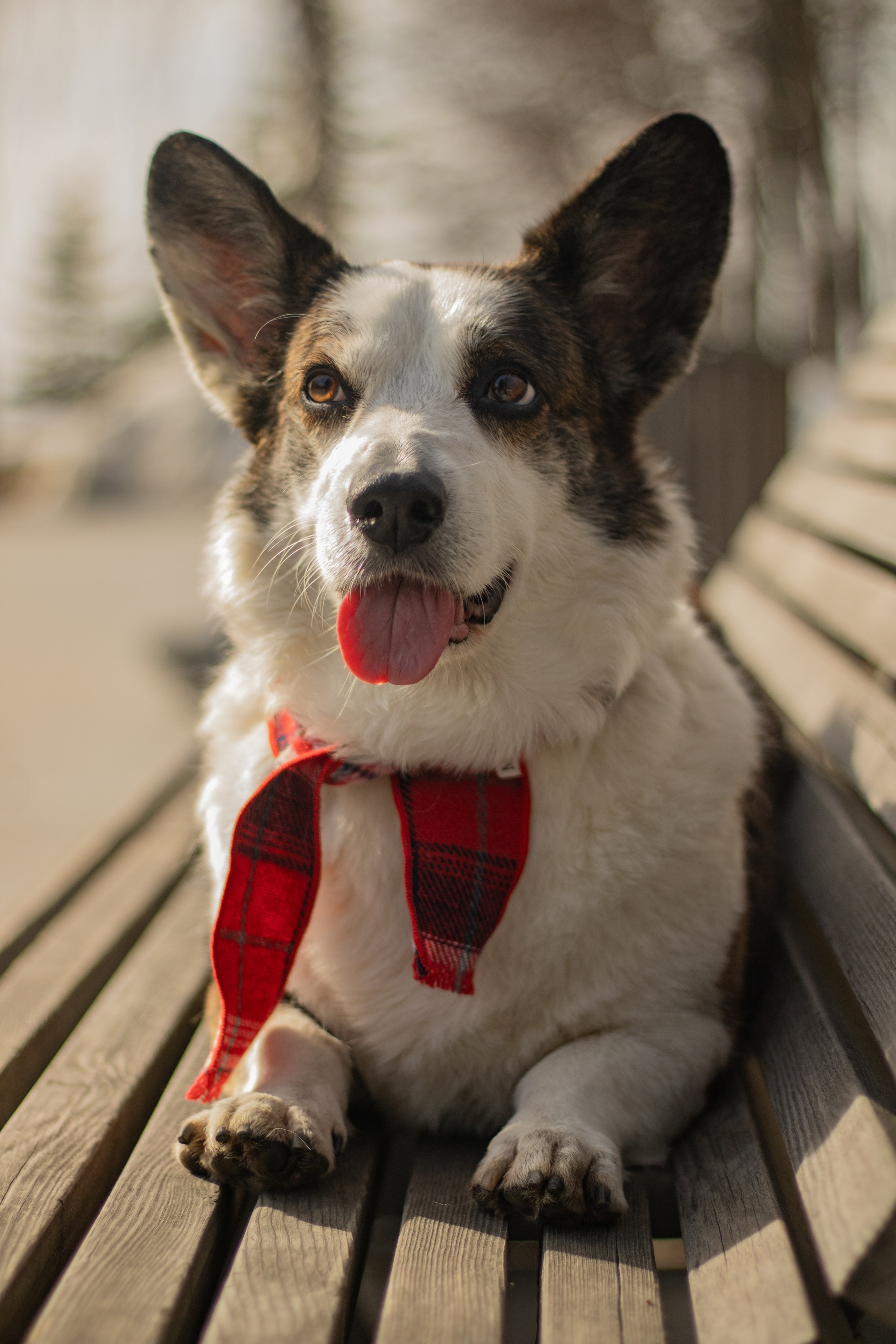 Юлия и Тэя. Катя Попова|ЛайфСтайл фотограф