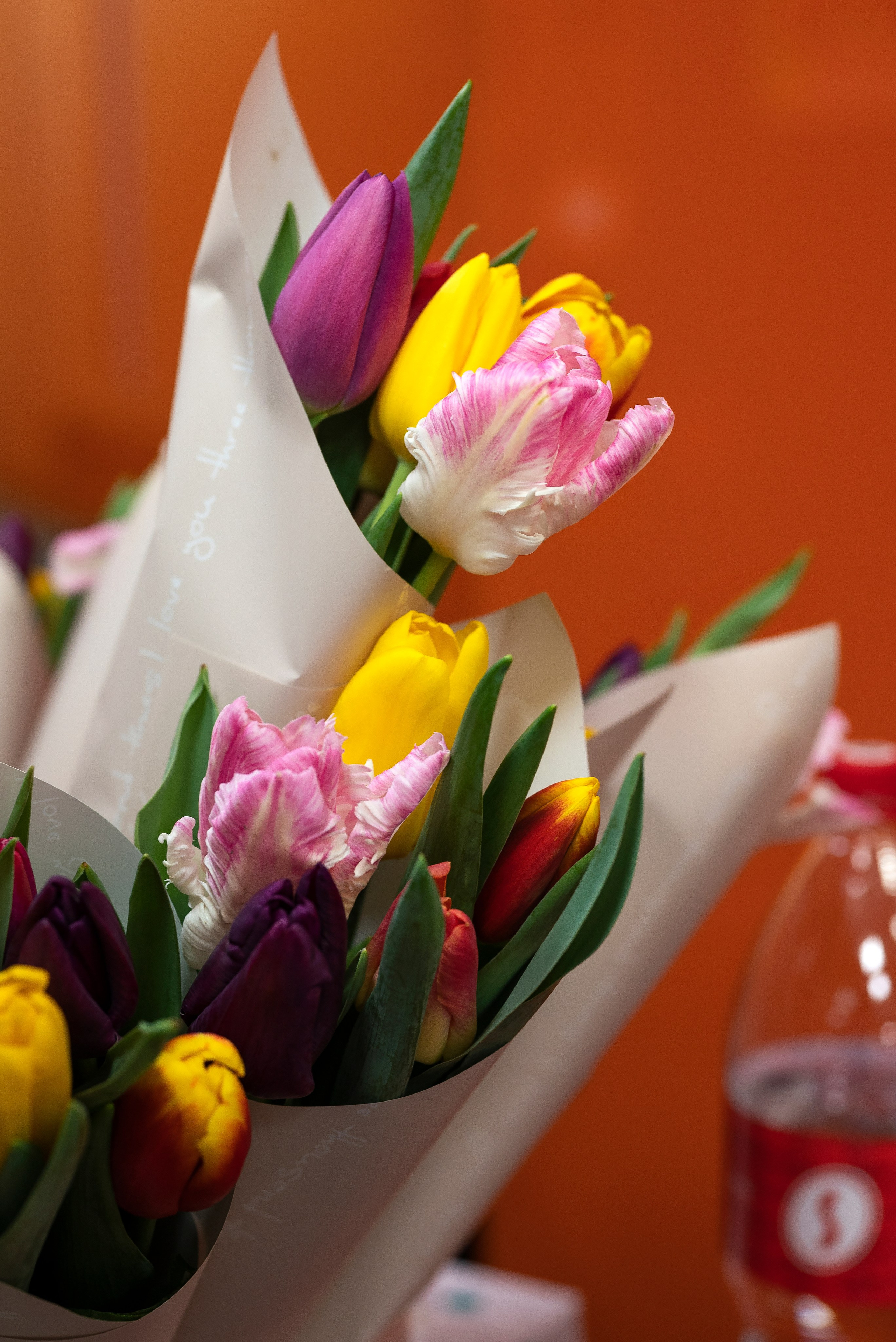 МСМ Групп 8 марта. Ваш фотограф📸 на motorcycle