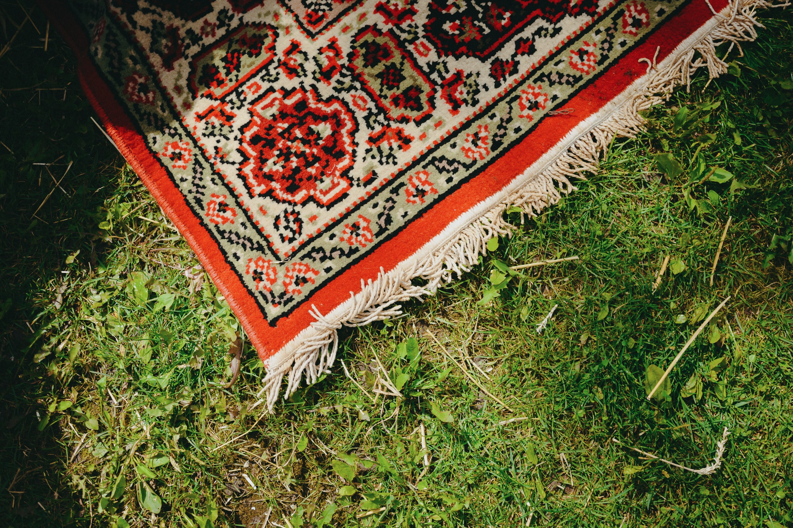 Корпоратив летом под открытым небом. Komonev