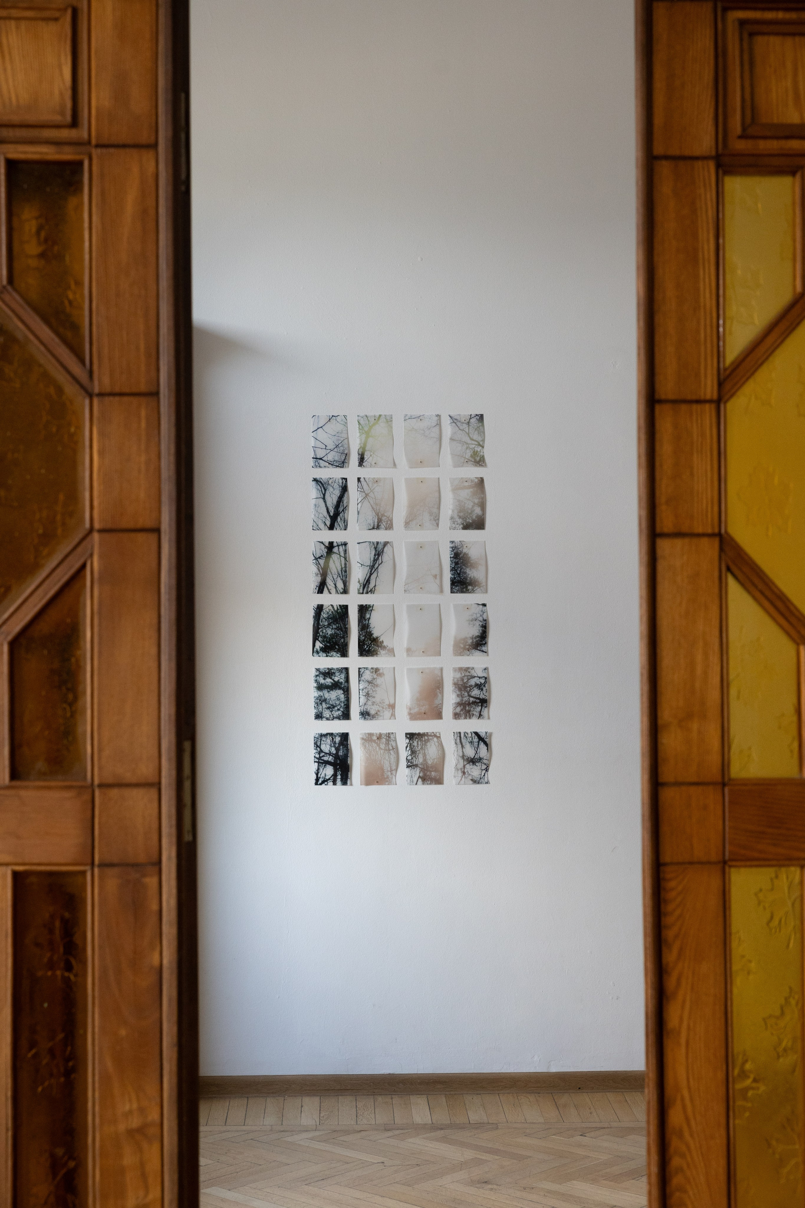 Personal exhibition Interior landscape 2025. Фотограф алина стерхова, алина стерхова фотограф, фотограф москва