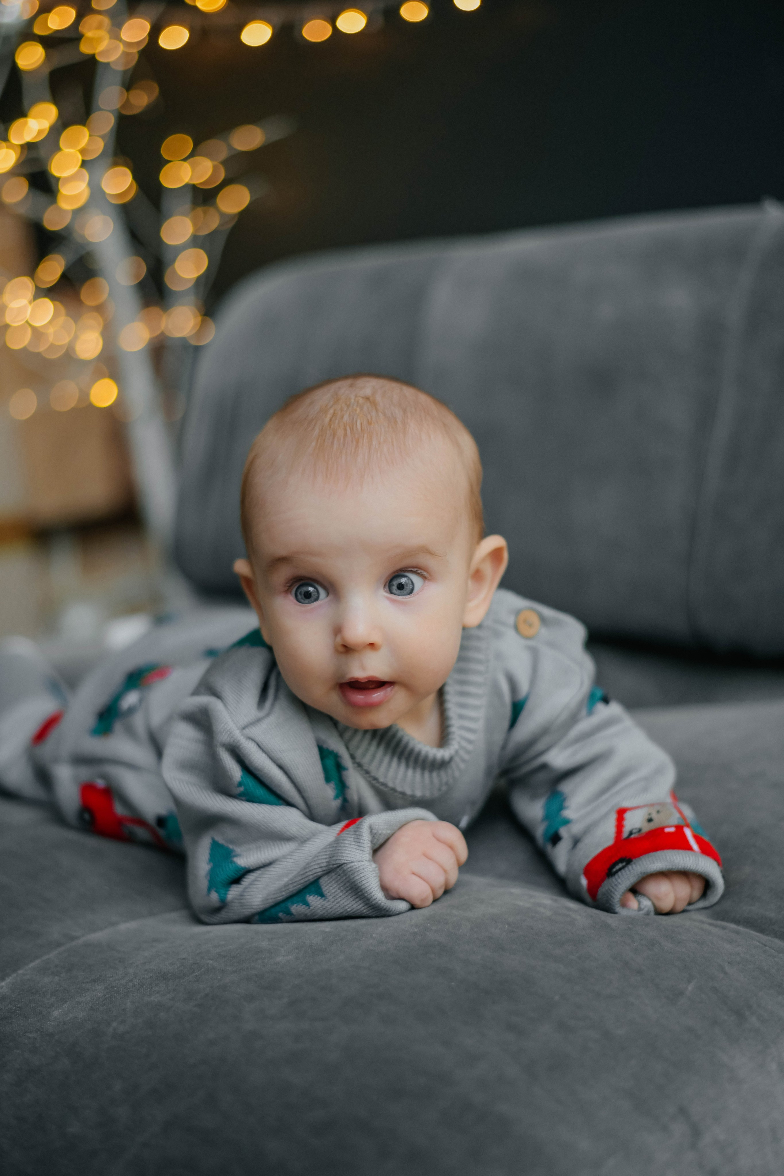 Семейная новогодняя. Фотограф Подольск