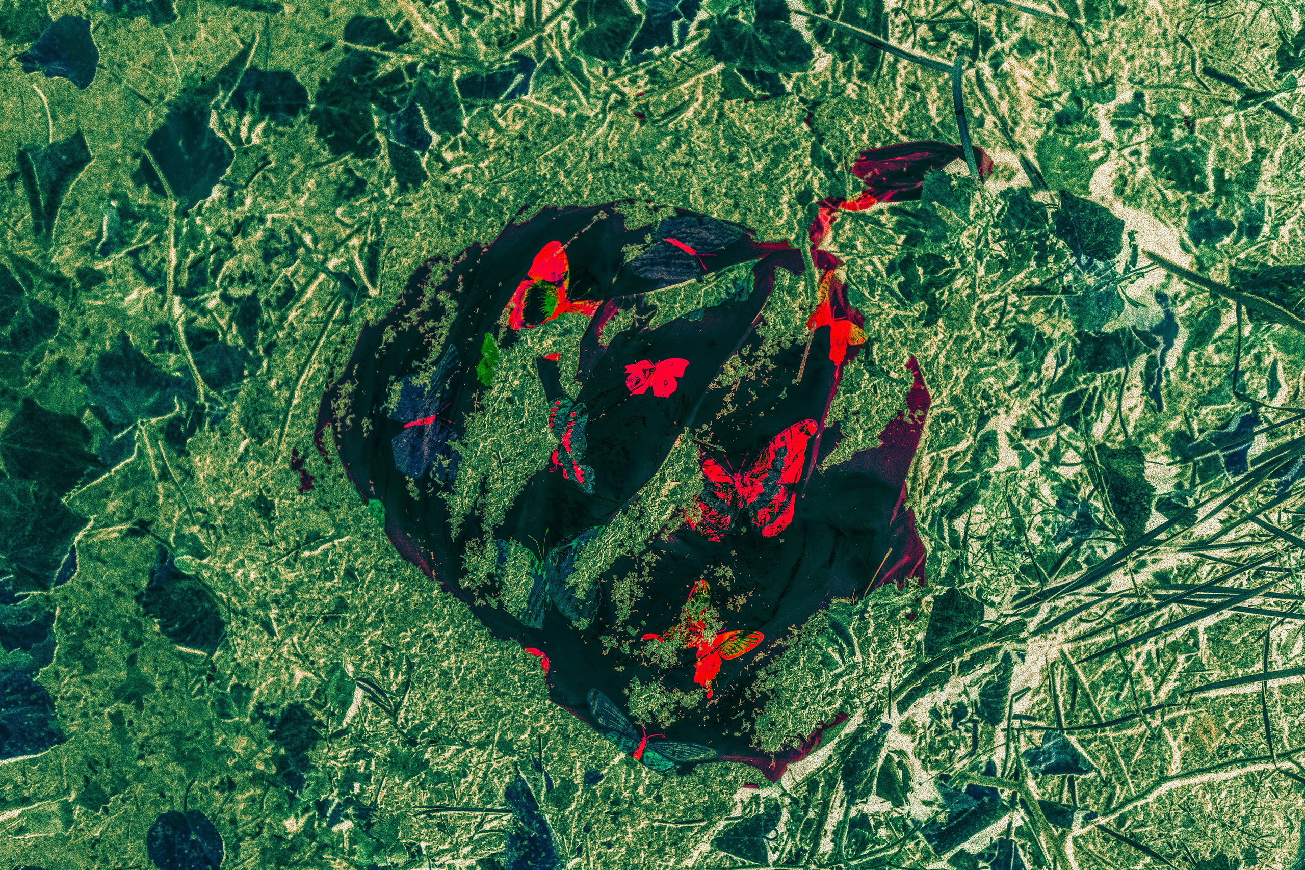 Я буду там, где вечность. Анна Полонеева фотография фотохудожник визуальная художница портреты