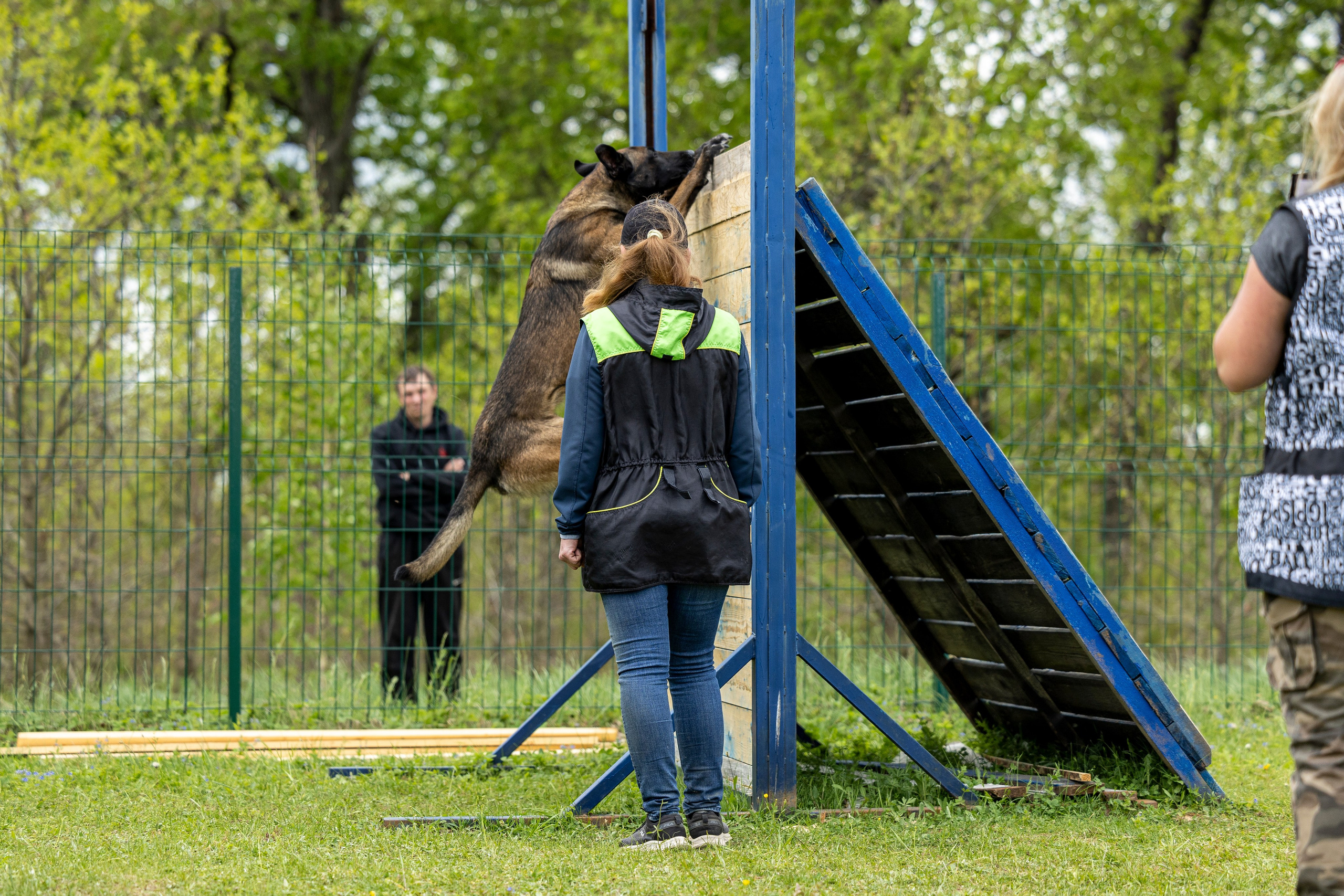 Испытания по мондьорингу в Нижнем Новгороде. Фотограф-анималист Анна Маринич