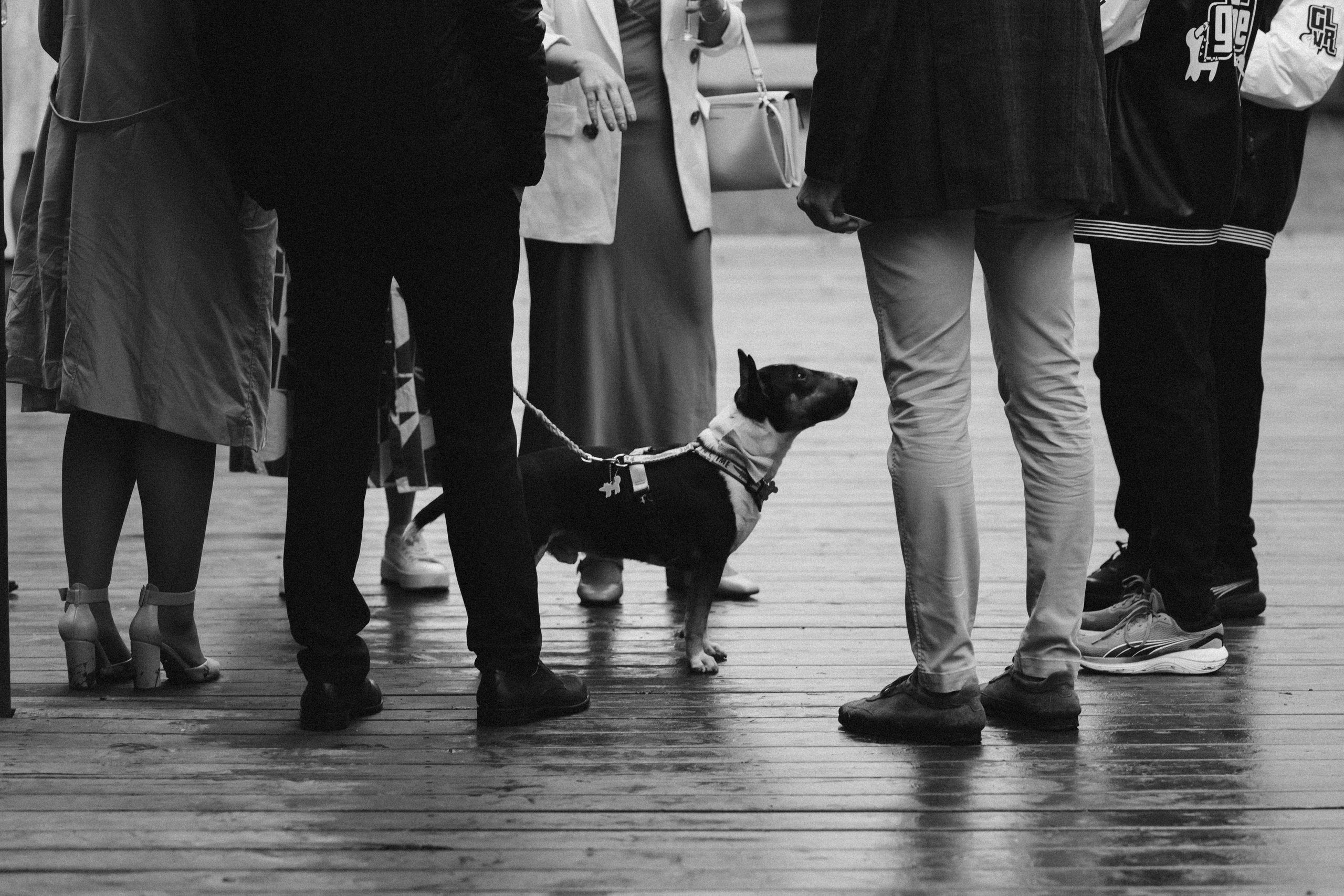 Аня и Сева. Эстетичный свадебный репортаж в любом городе страны