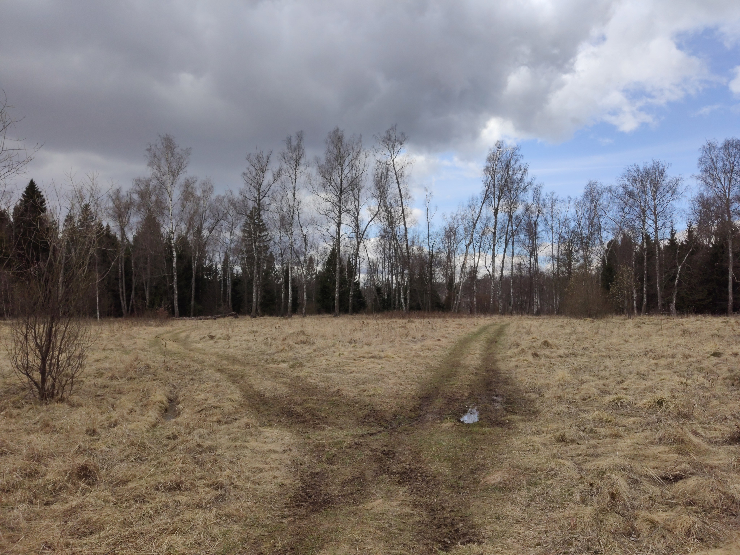 Фото Природы Забайкалья. Студия Максима Белослюдцева