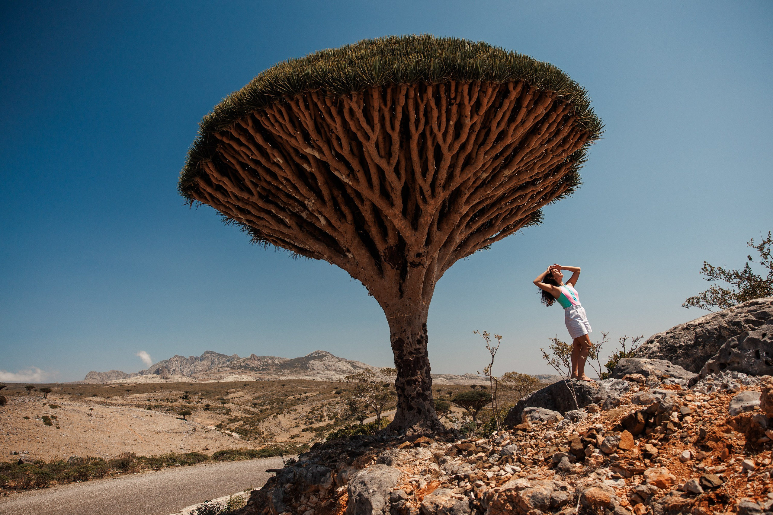 Socotra