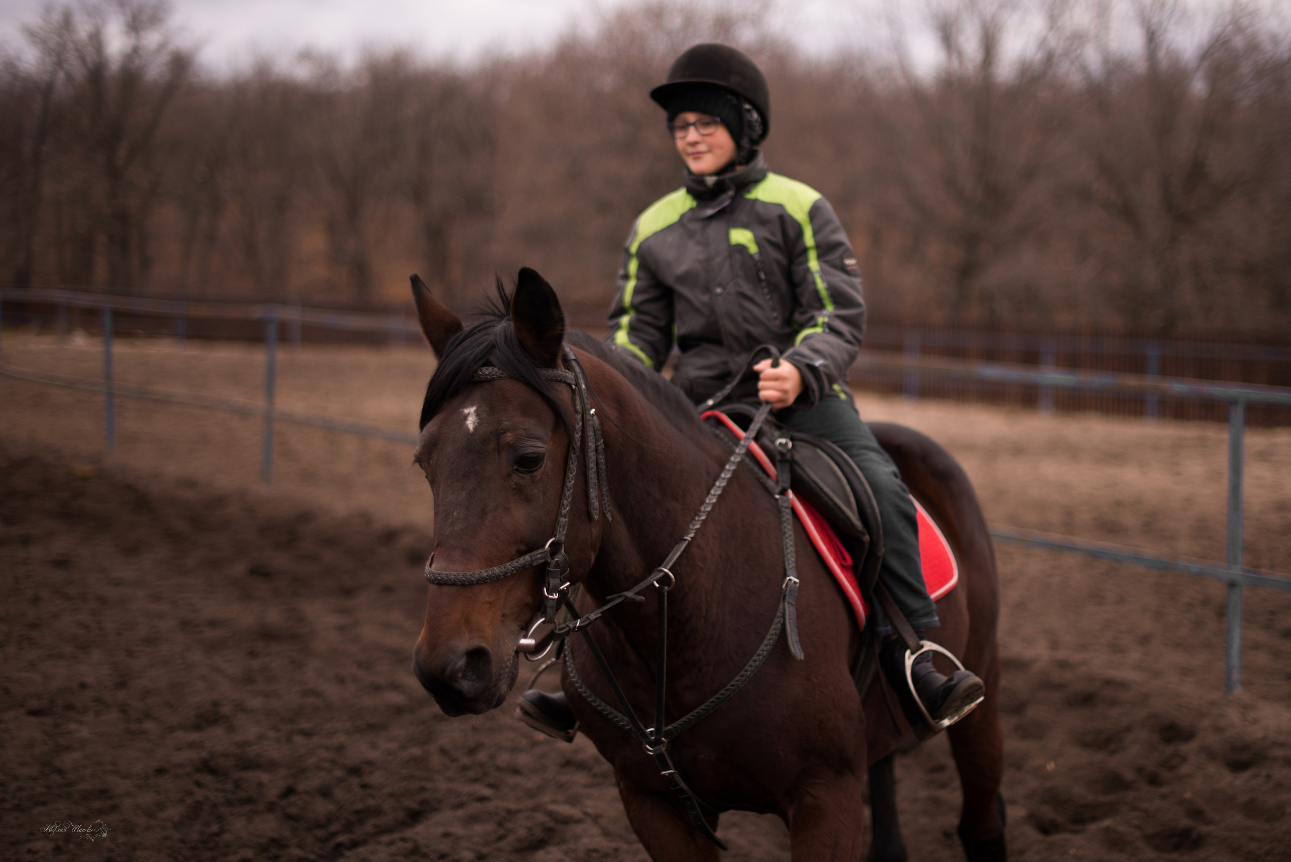 Тренировка с Гайдуком. Конный фотограф в Саратове Юлия Иванова