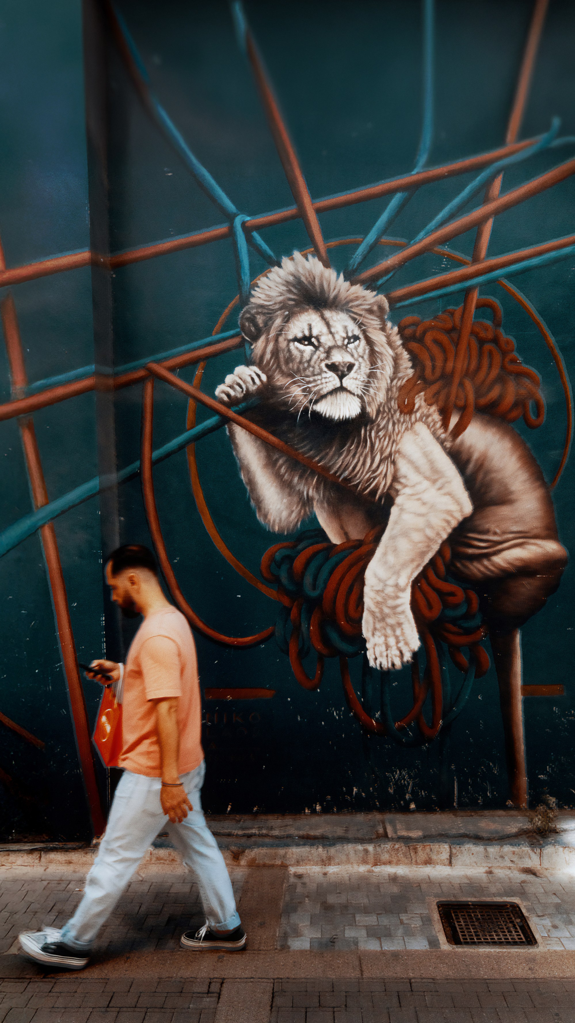 Турция, Греция, Иордания. Фотограф в Хабаровске. Фотография за 24 часа