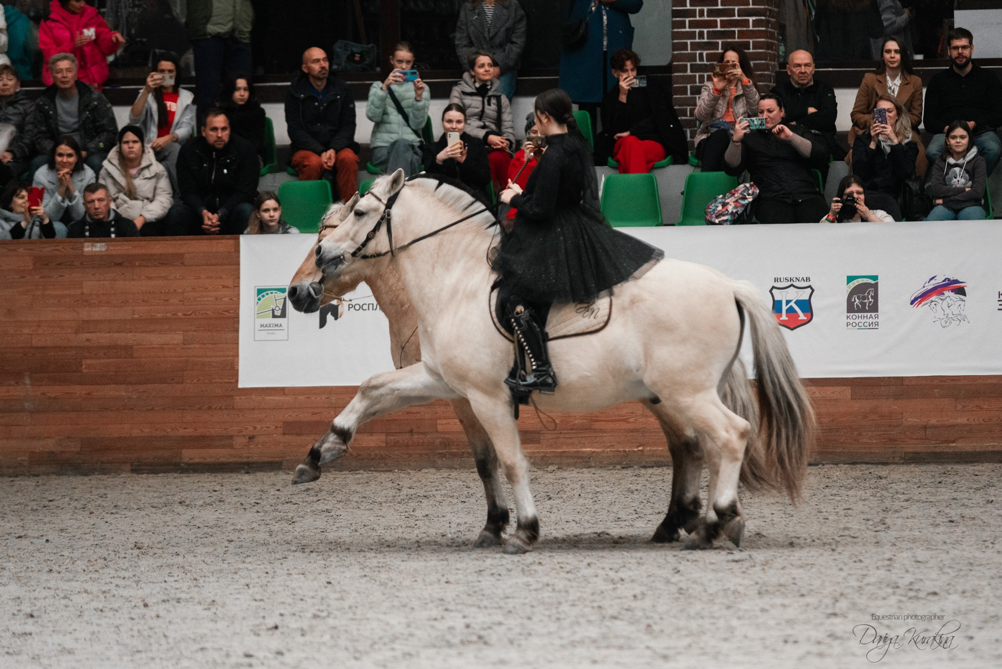 8-я международная выставка Конная Россия. Конный фотограф Куракина Дарья • Фотосессии с лошадьми