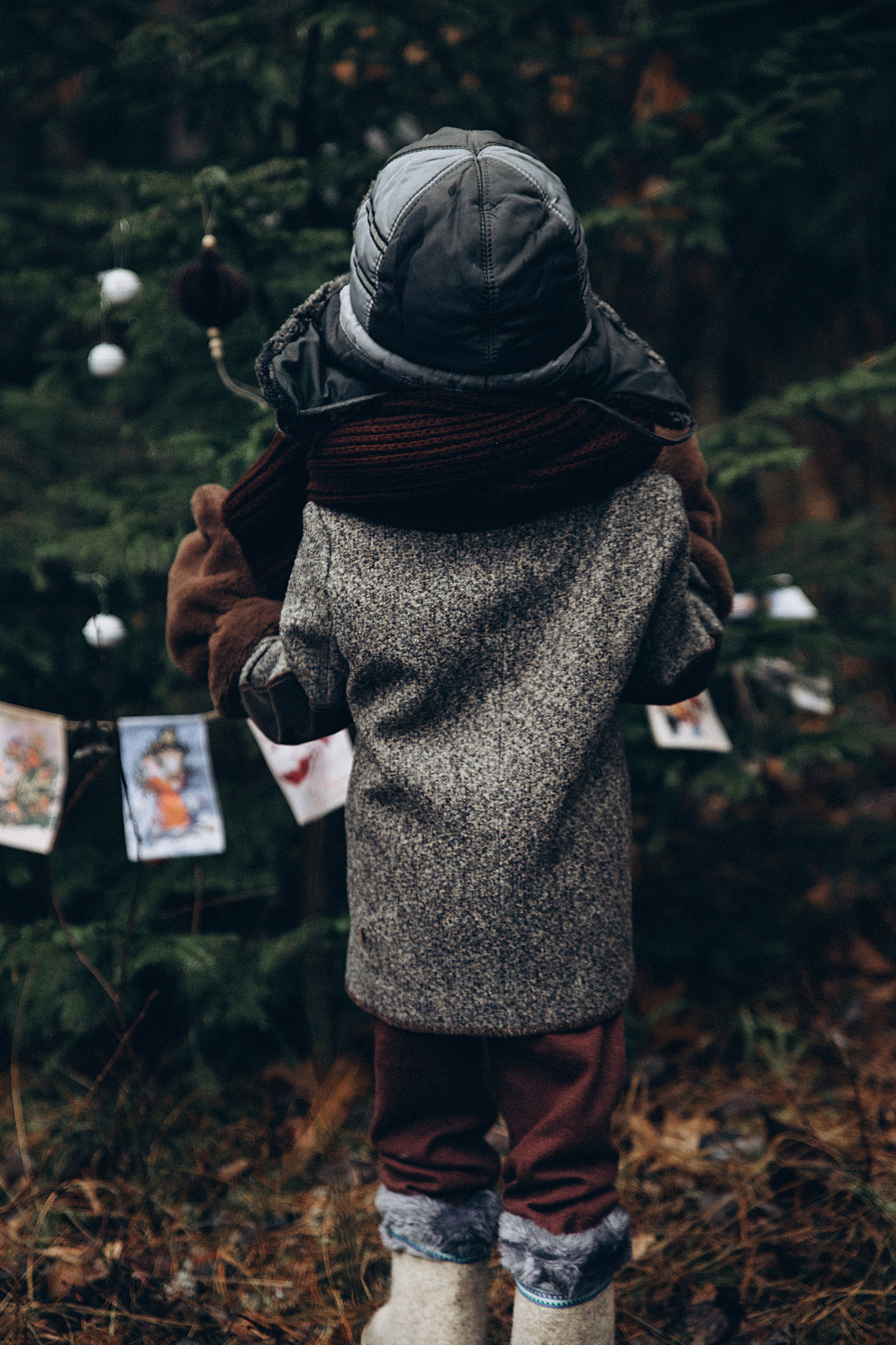 Елка в лесу. Репортажный и детский фотограф в Минске