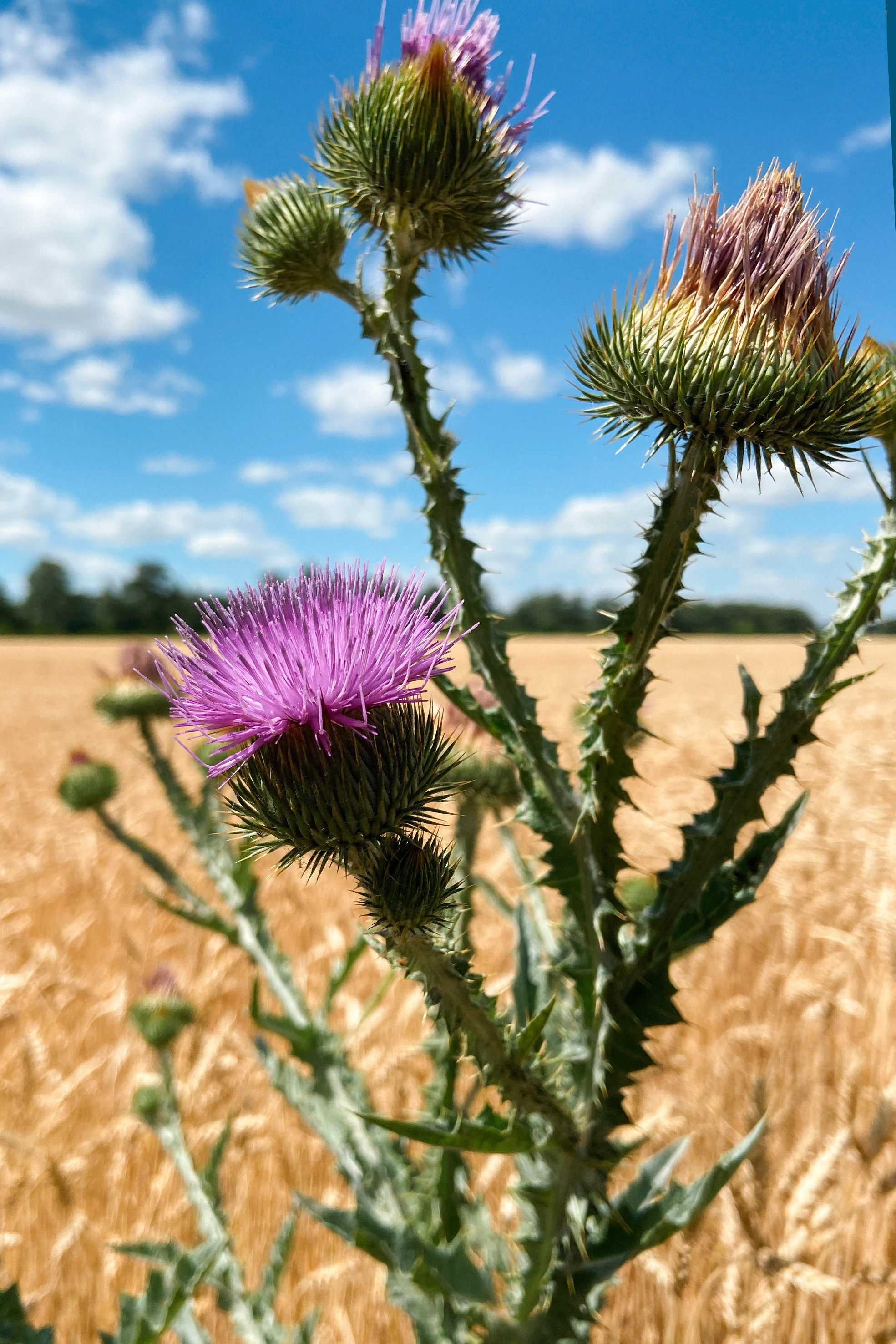 Природа. Команда фотографов Кристины Ивановой