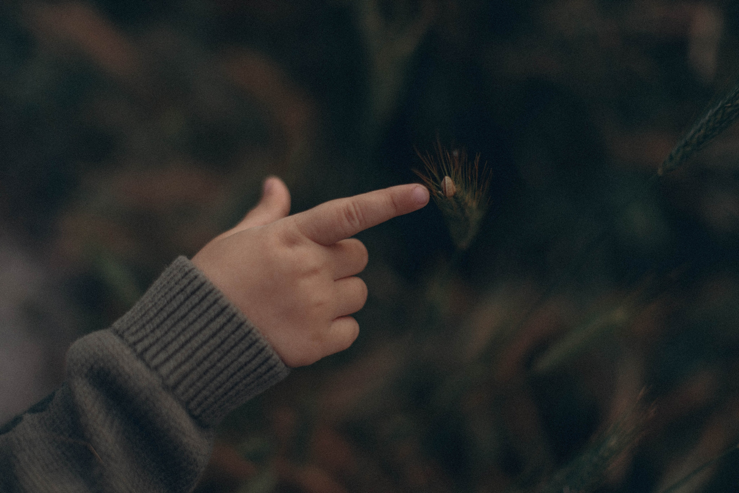 DETSTVO. Фотограф в Геленджике Елизавета Гудина