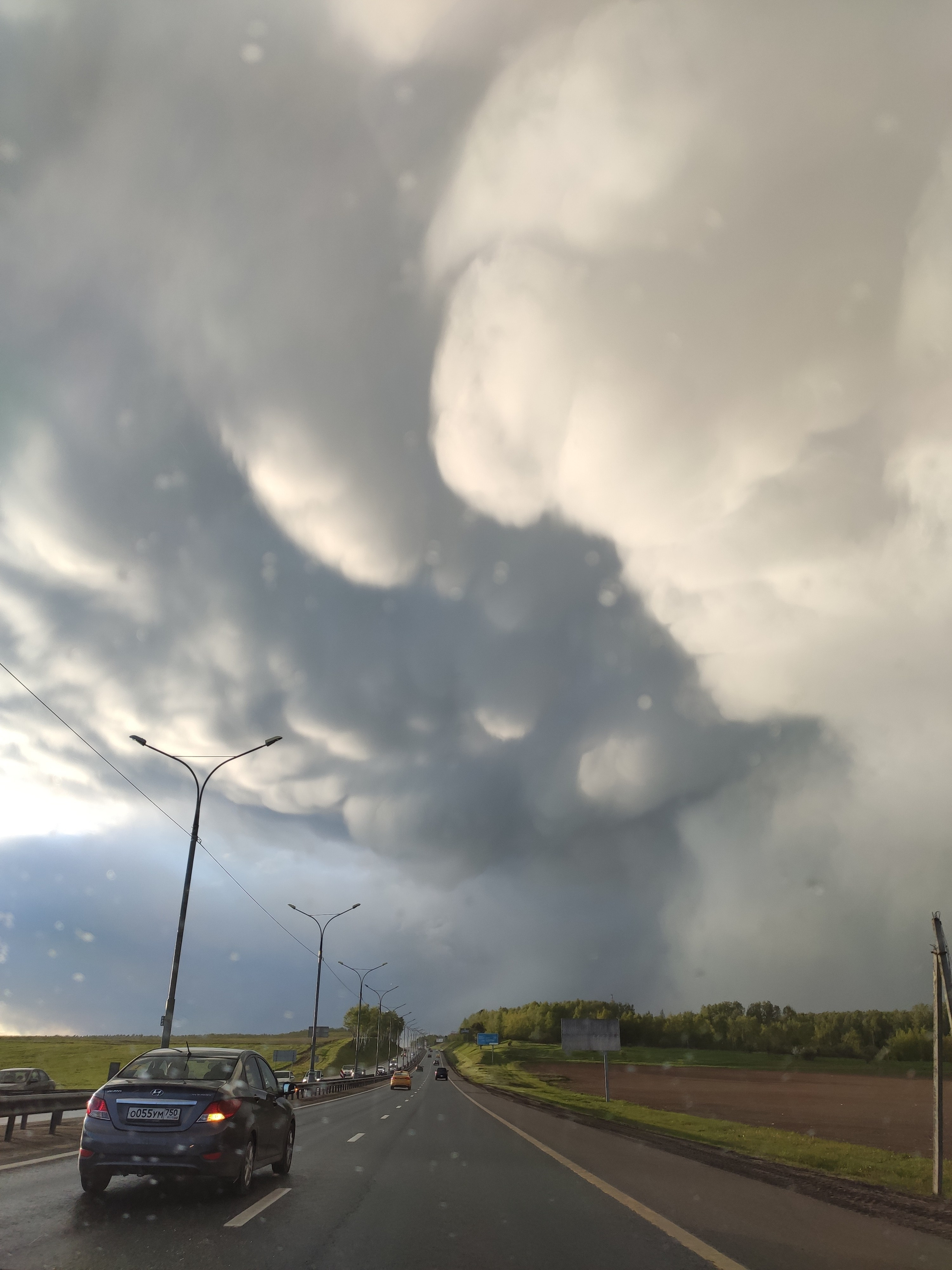 Автор: Александра Серебровская