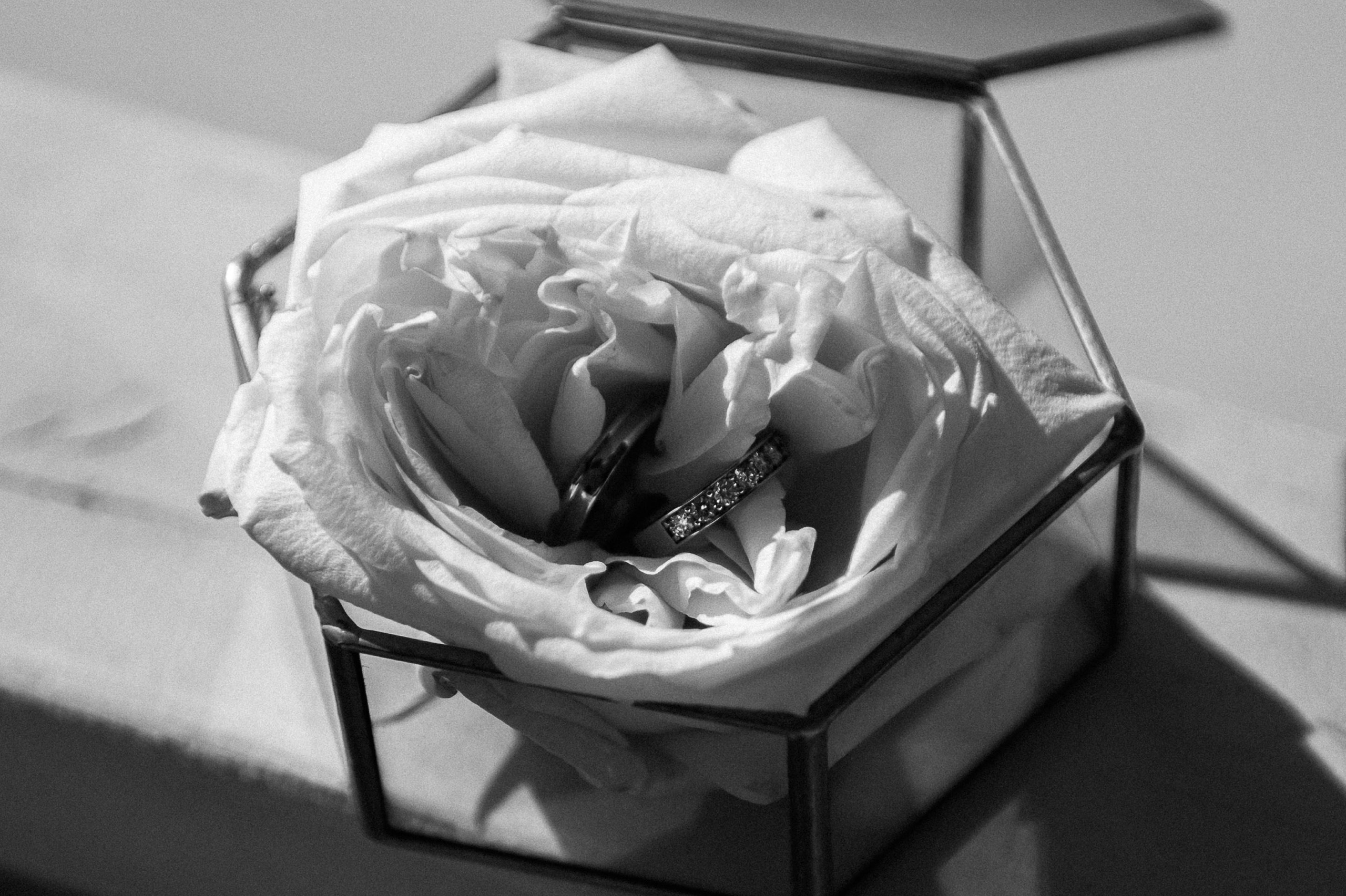 Свадьба White park. Свадебный фотограф Москва — Сергей и Татьяна