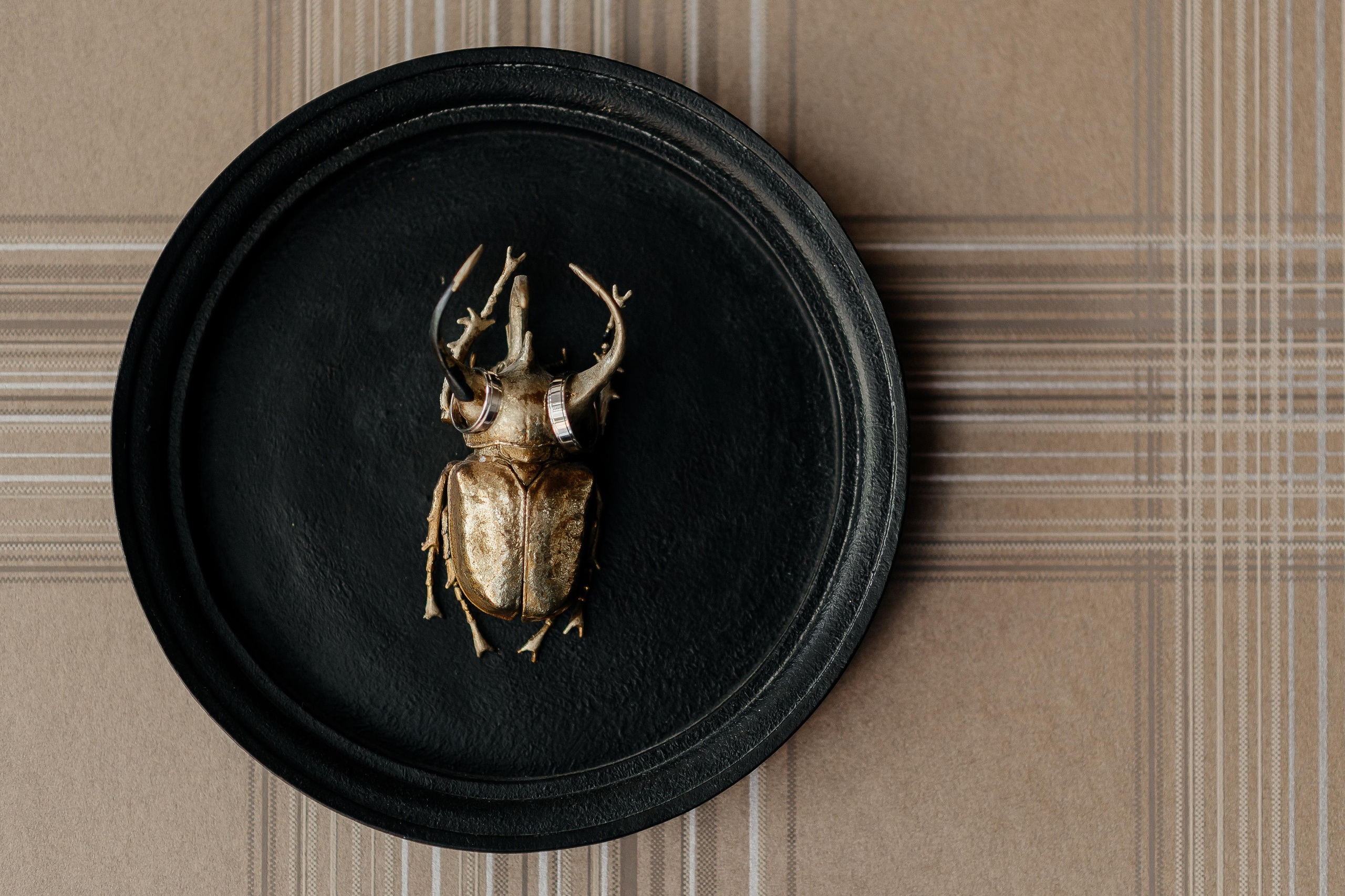 Свадьба на площадке Дом у озера. Свадебный фотограф Москва — Сергей и Татьяна