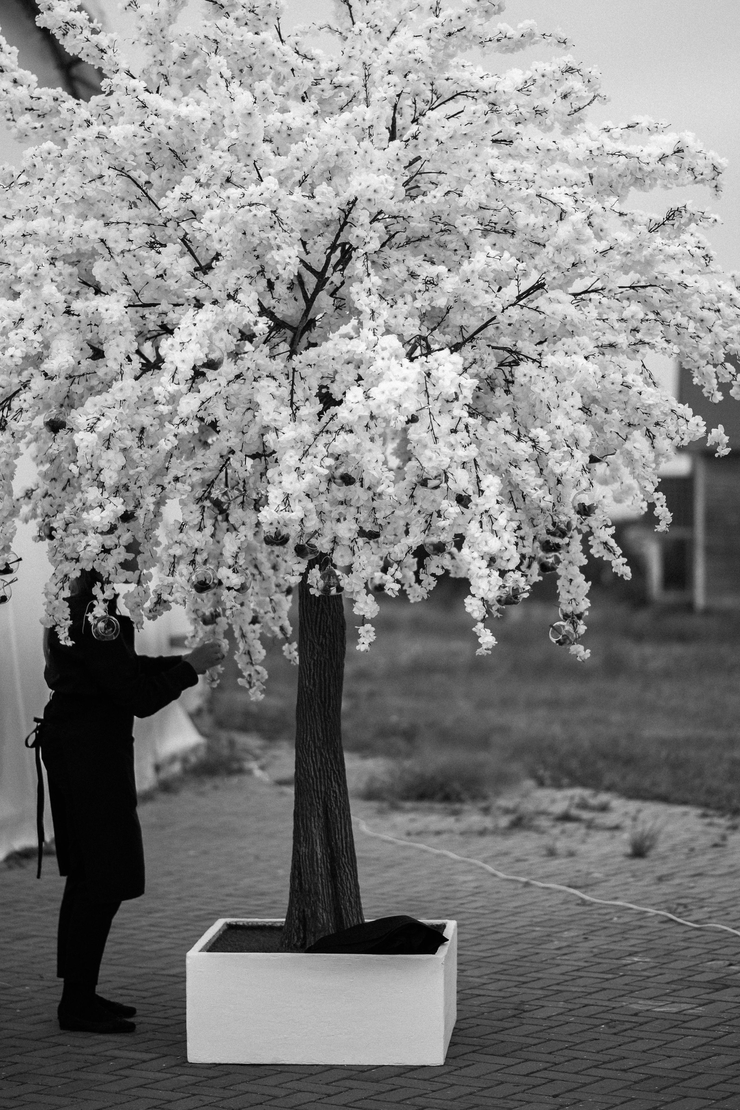 Свадьба Национальный Конный Парк Русь. Свадебный фотограф Москва — Сергей и Татьяна