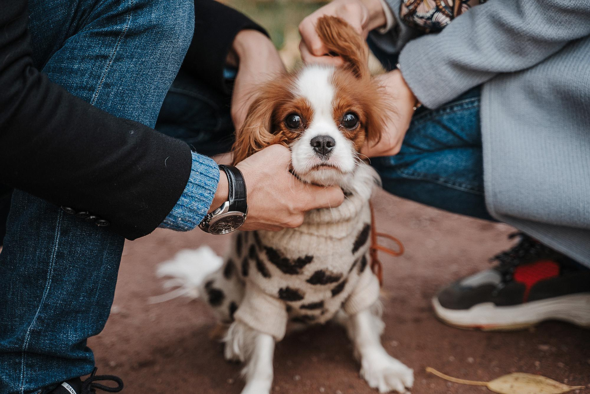Фотосессия в Парке Горького. Свадебный фотограф Москва — Сергей и Татьяна