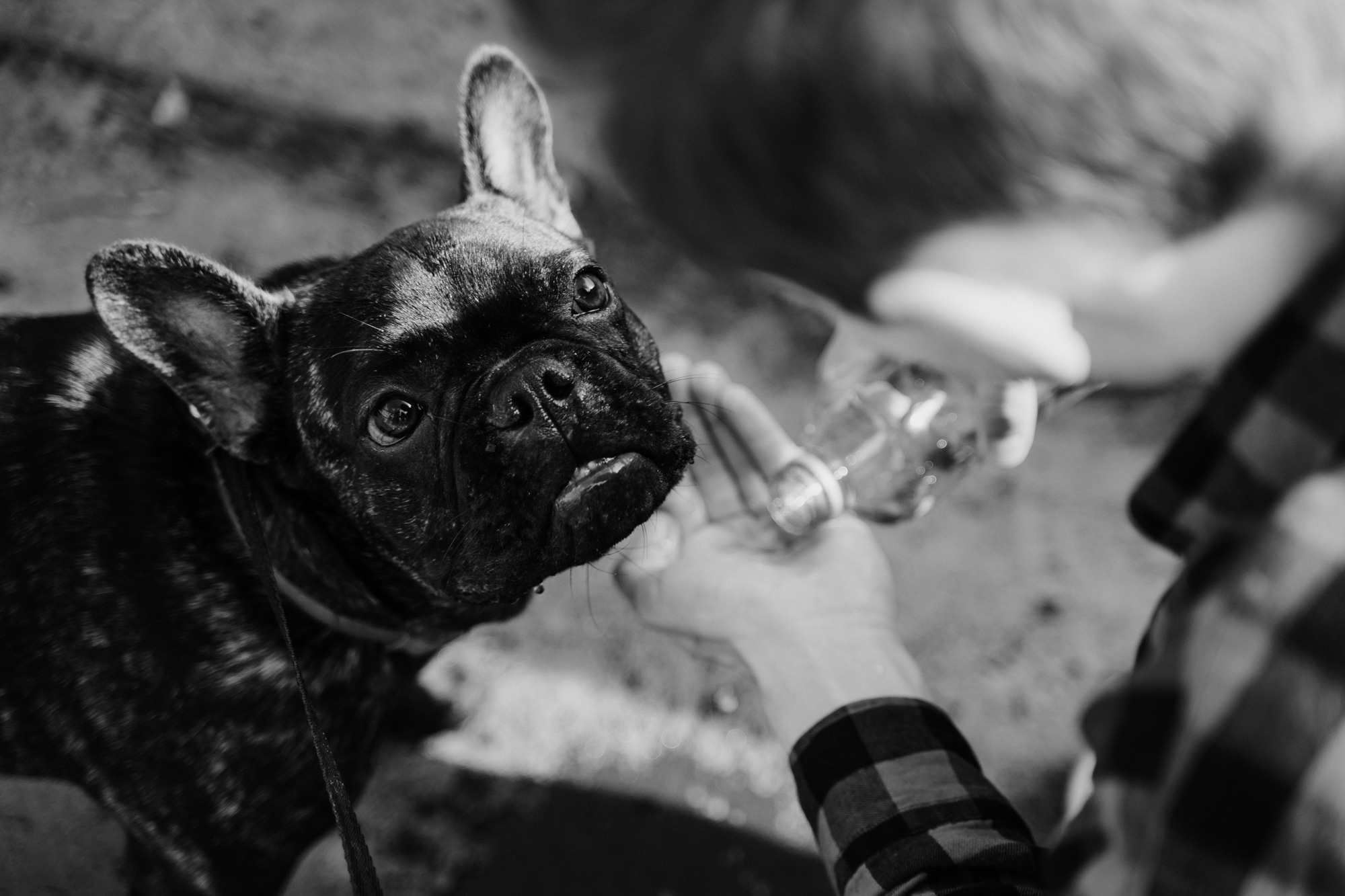 Лав стори Маши и Артема в парке им. Баумана в городе Москва. Свадебный фотограф Москва — Сергей и Татьяна