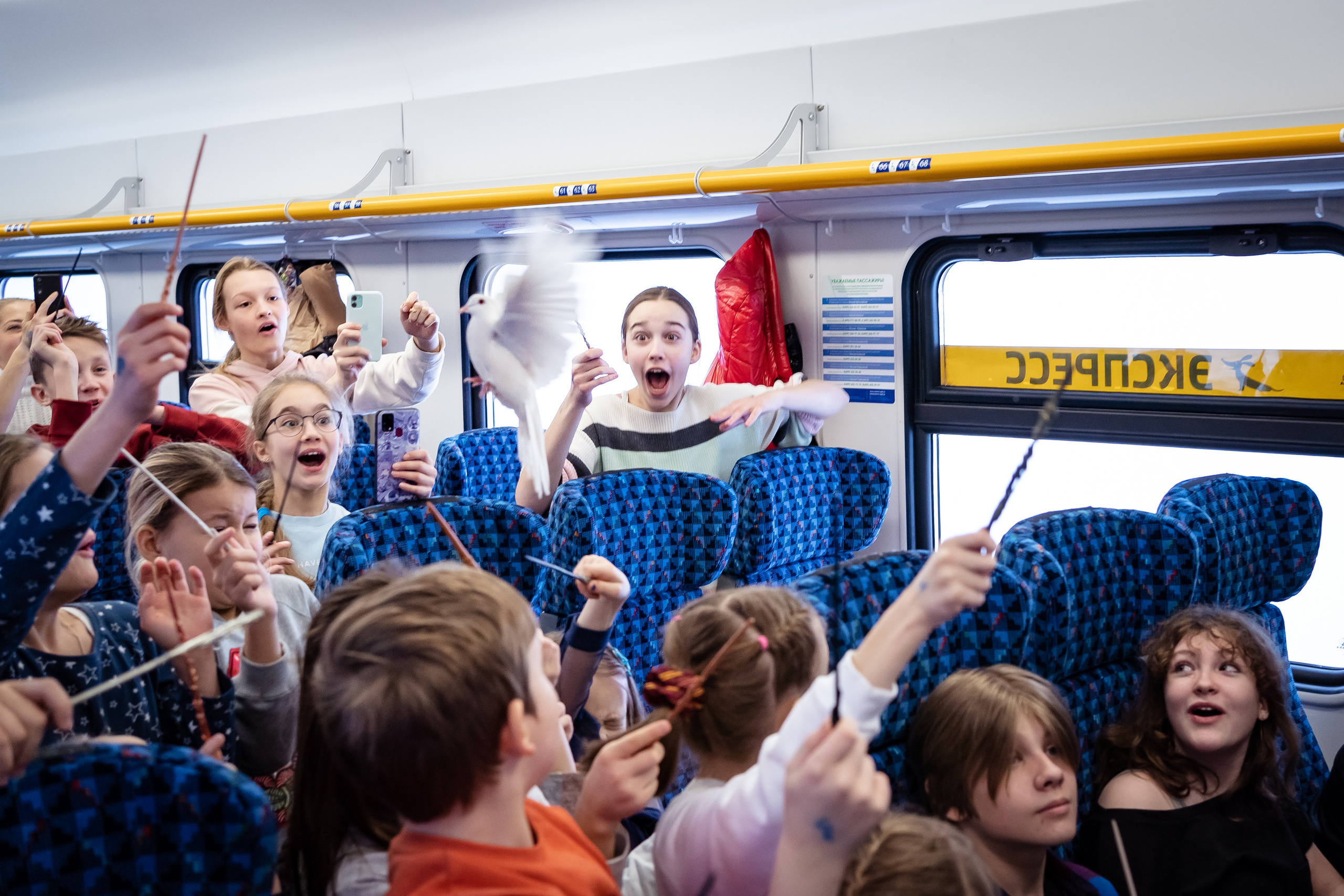 Hogwarts Express. Семейный фотограф Варвара Сорока в городе Москве