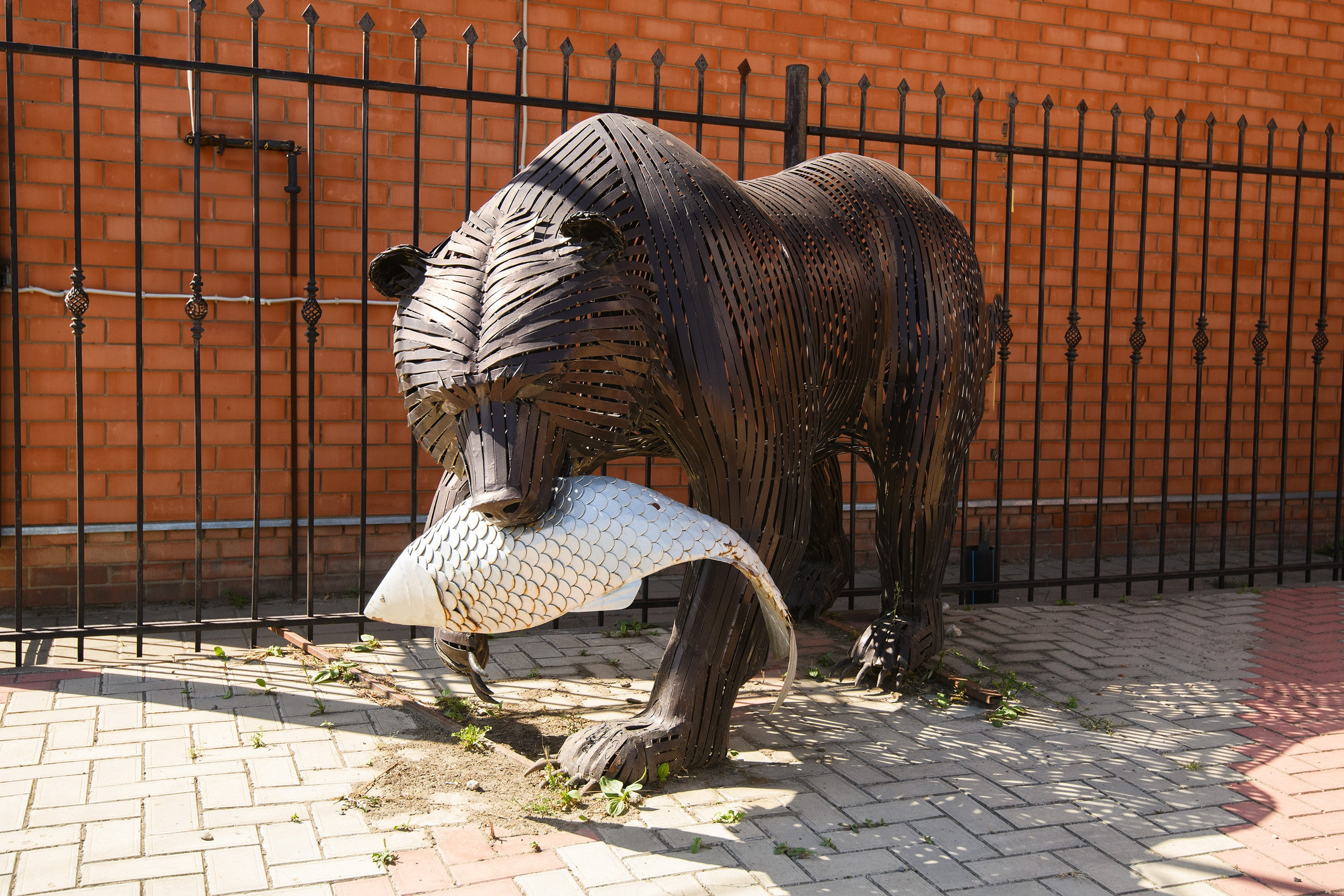 Тихорецк. Профессиональная фотосъемка. Ростов-на-Дону
